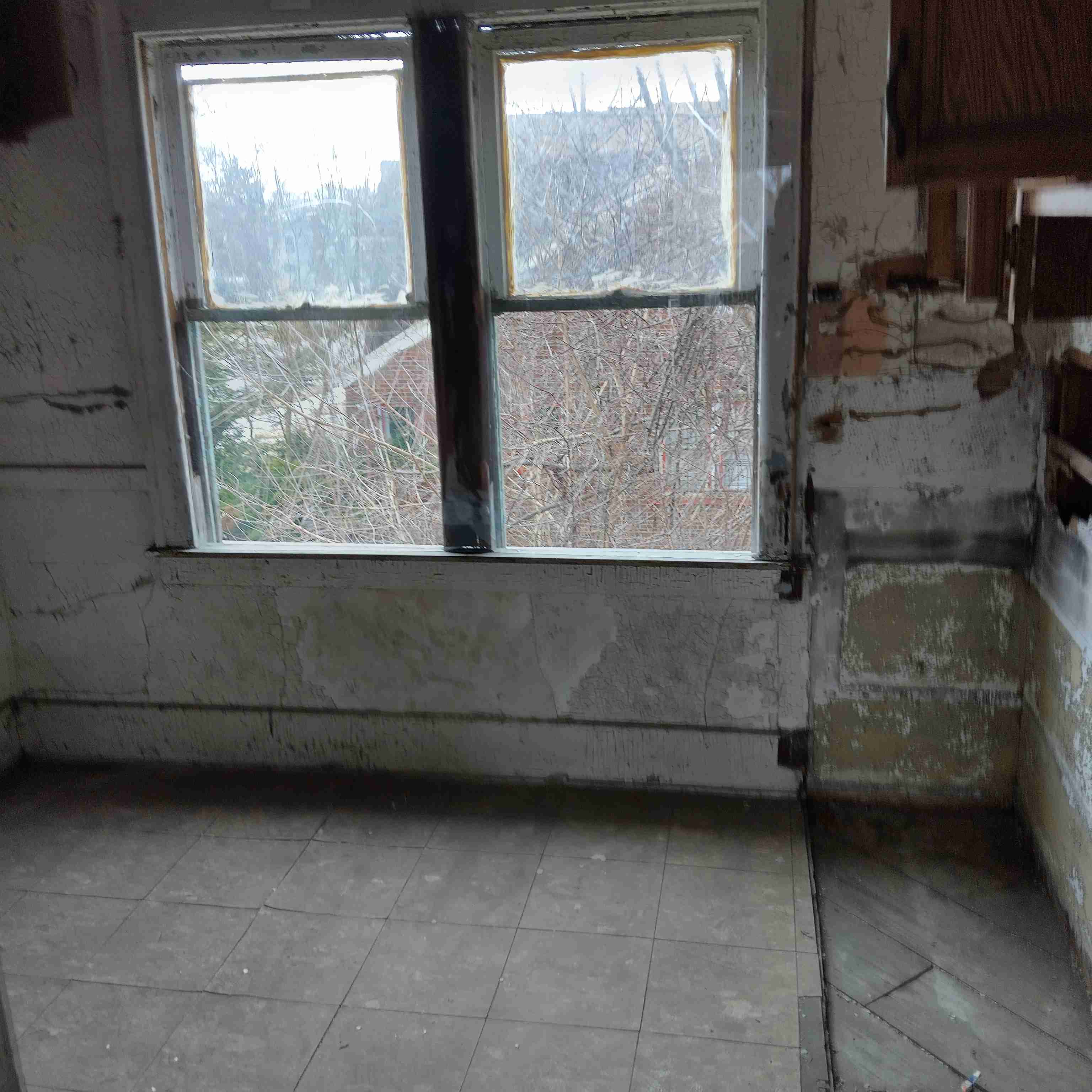 IMG_20250306_115718_HDR.jpg
