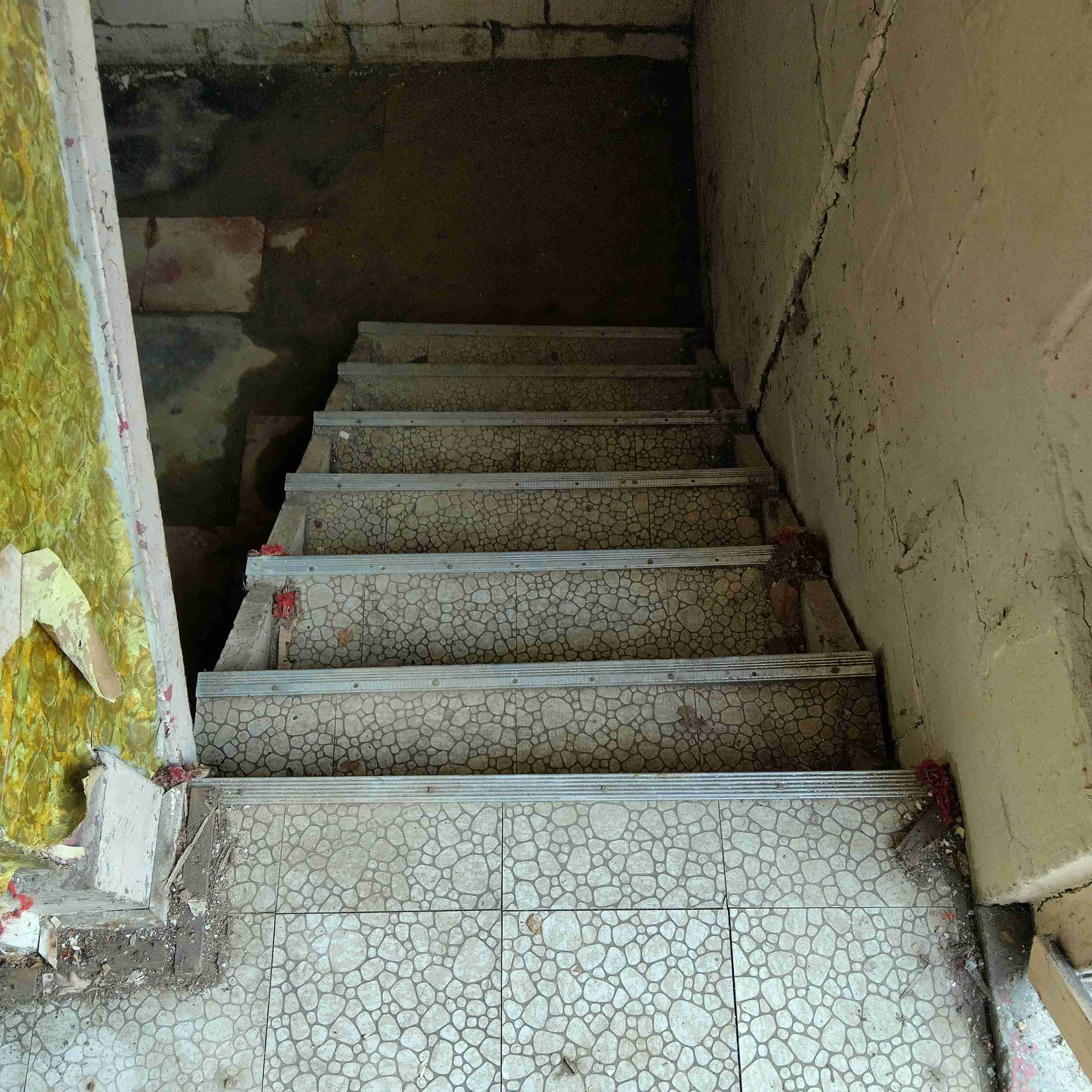 IMG_20250306_115827_HDR.jpg