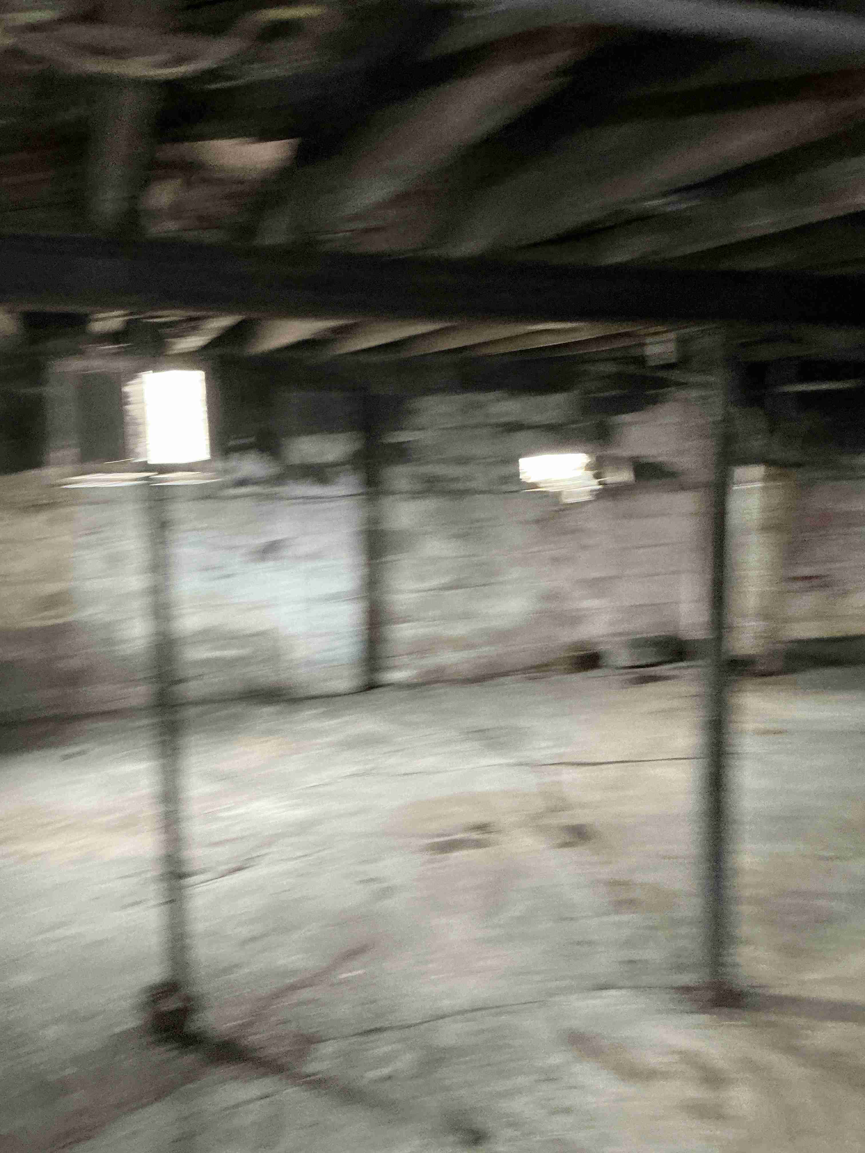 IMG_9802.jpeg