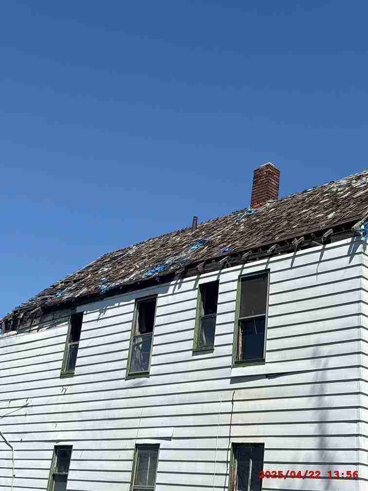 3126631-1_008.jpg
