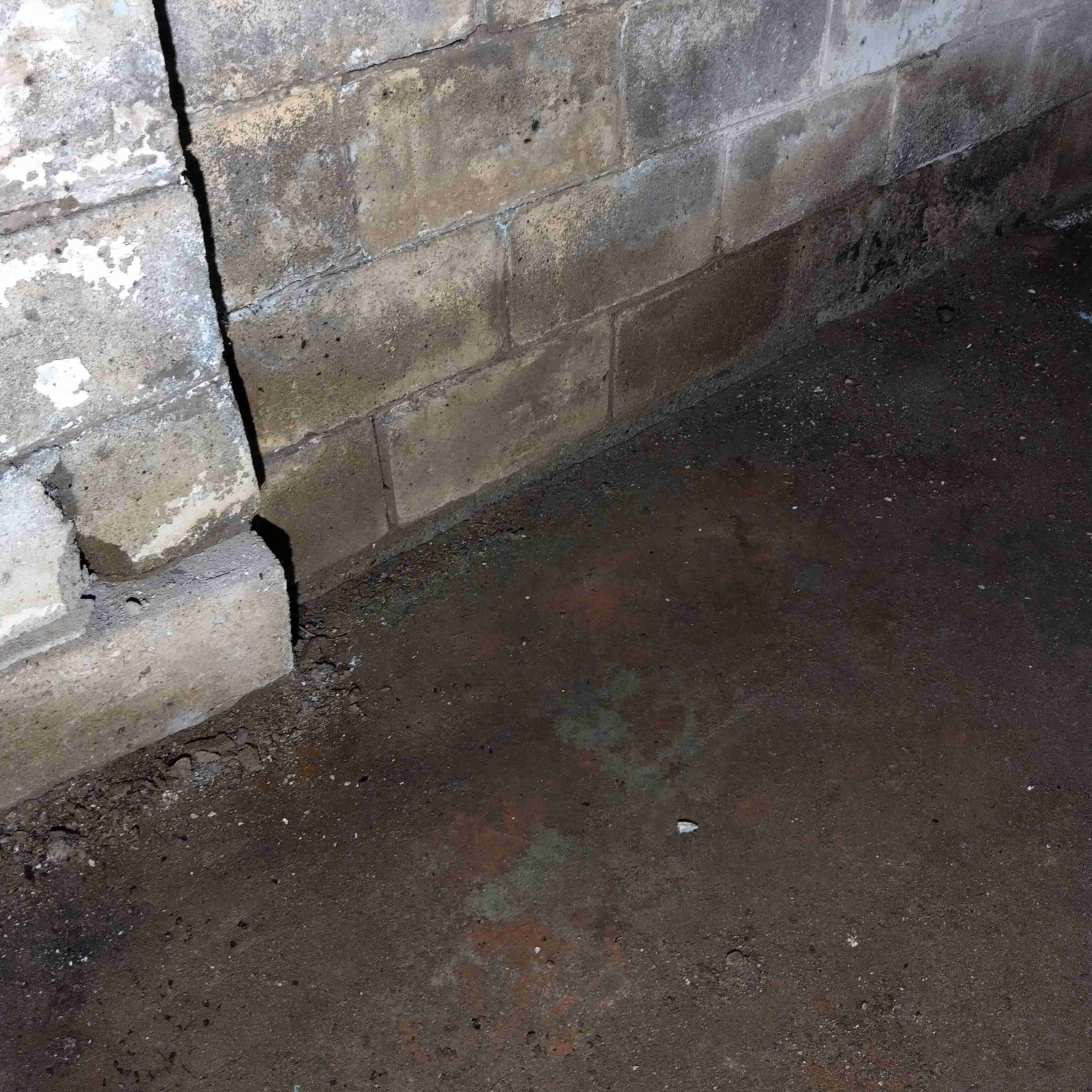 IMG_20250618_174932.jpg