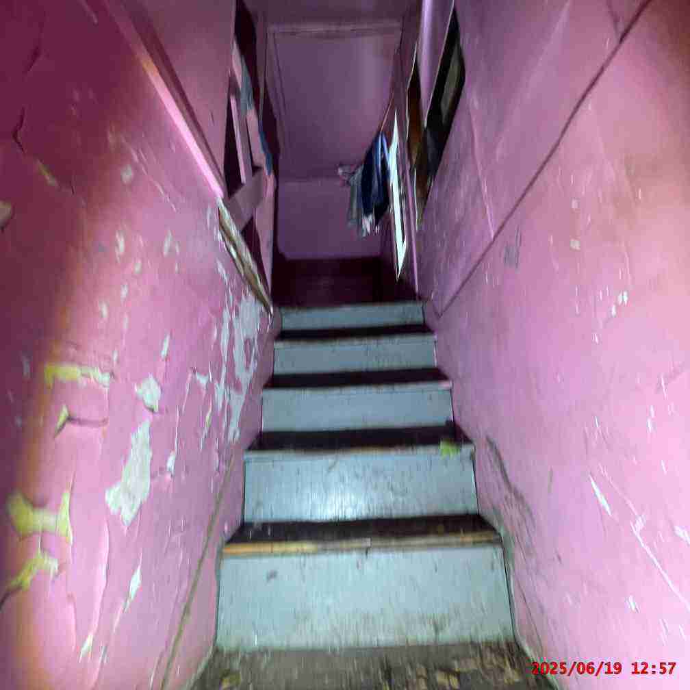 3129669-1_040.jpg