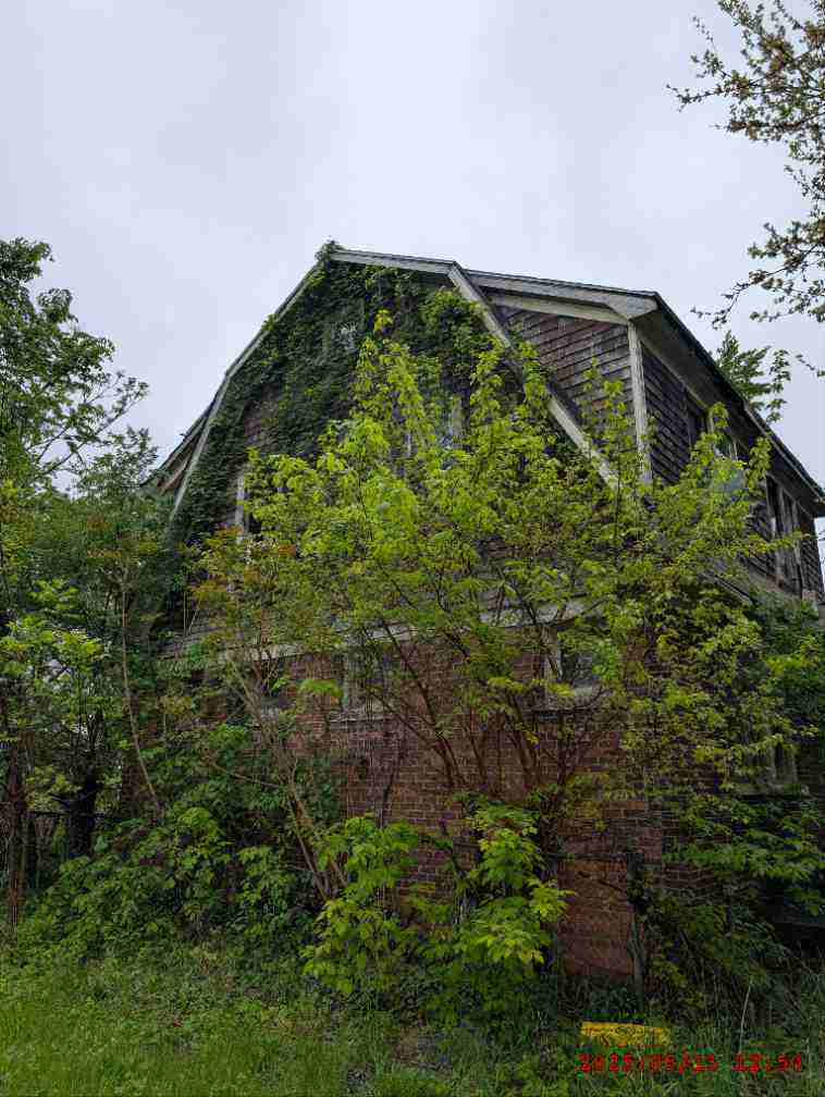 3127356-1_005.jpg