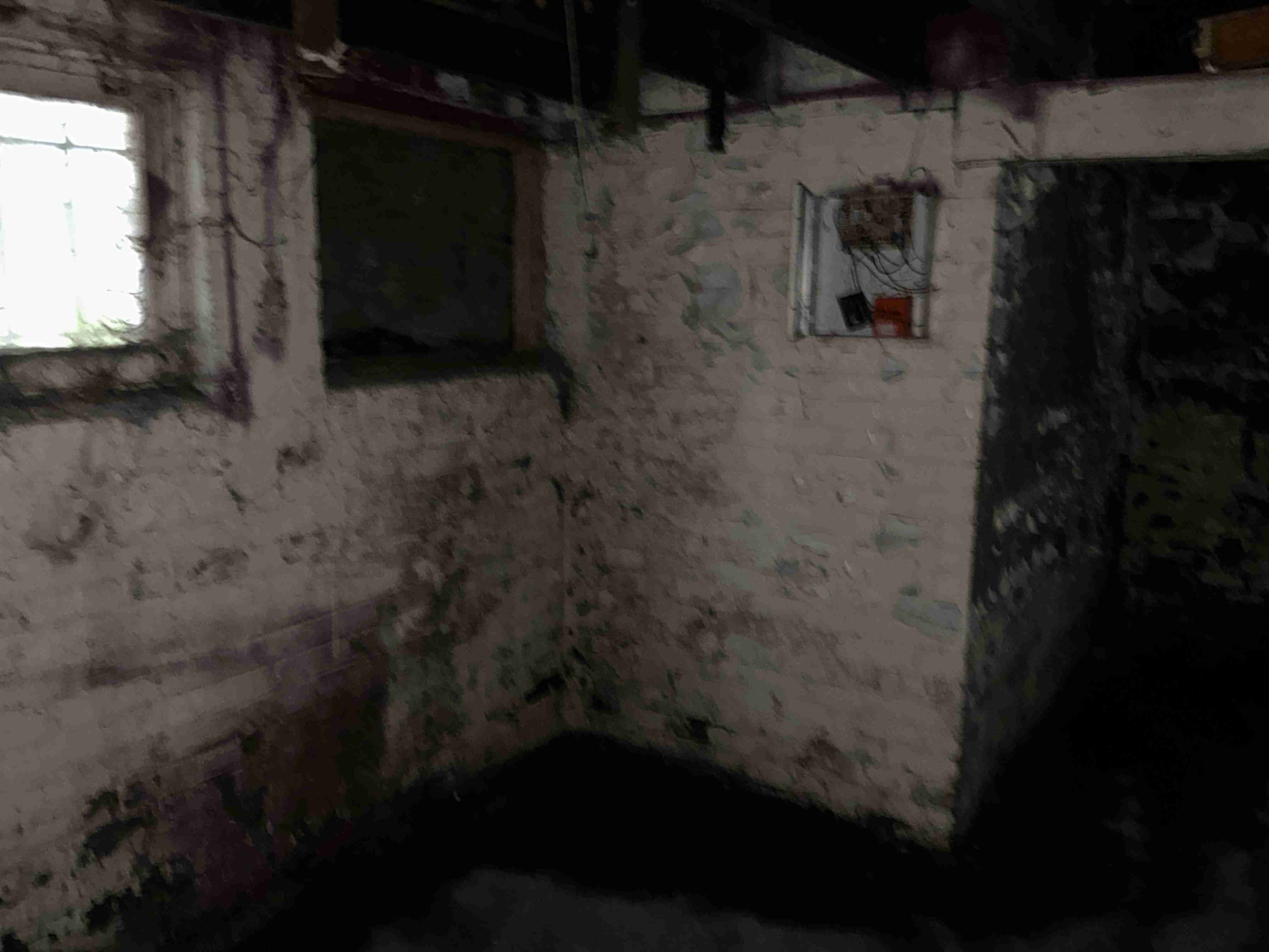 IMG_9959.jpeg