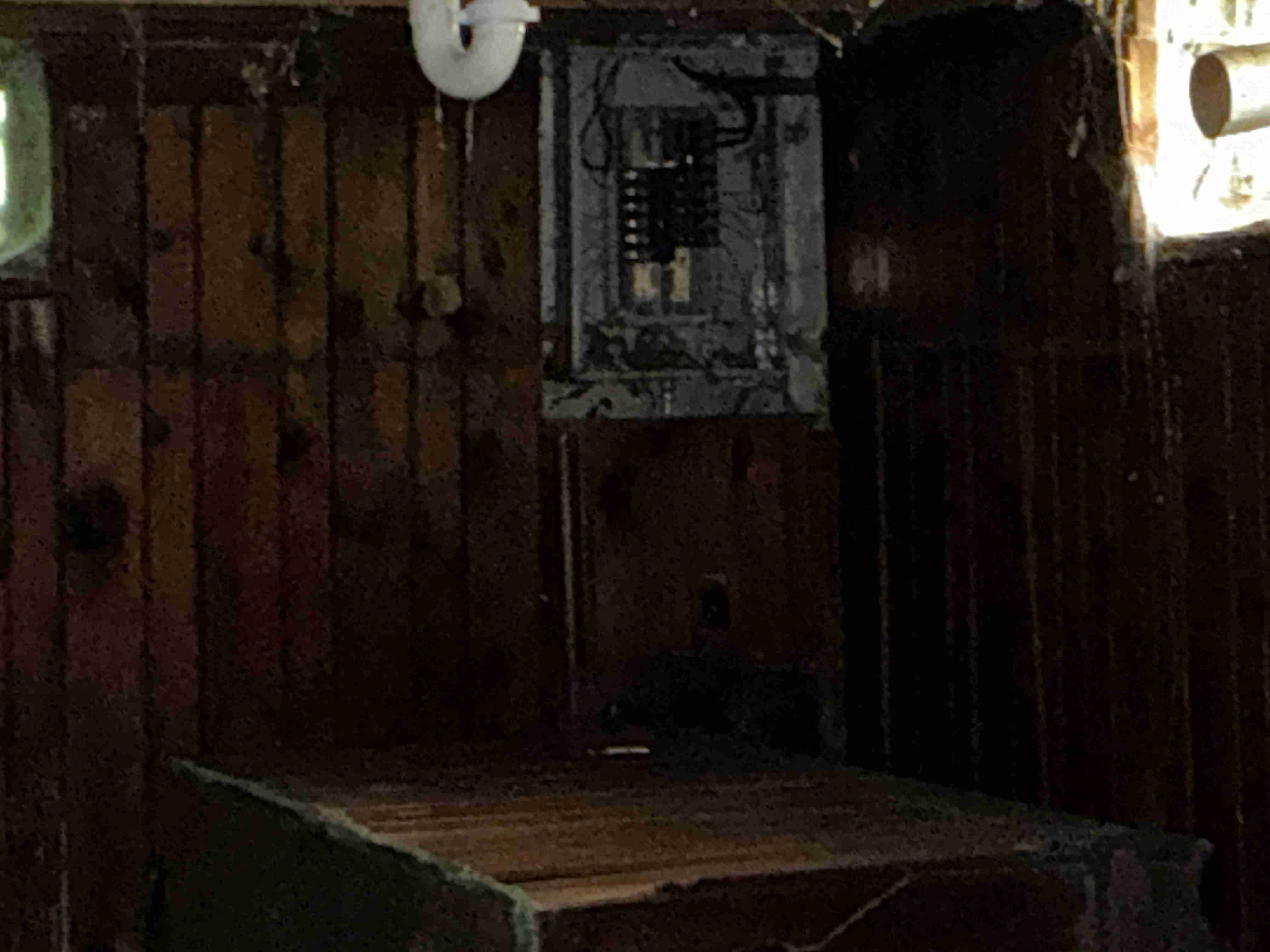 IMG_9896.jpeg