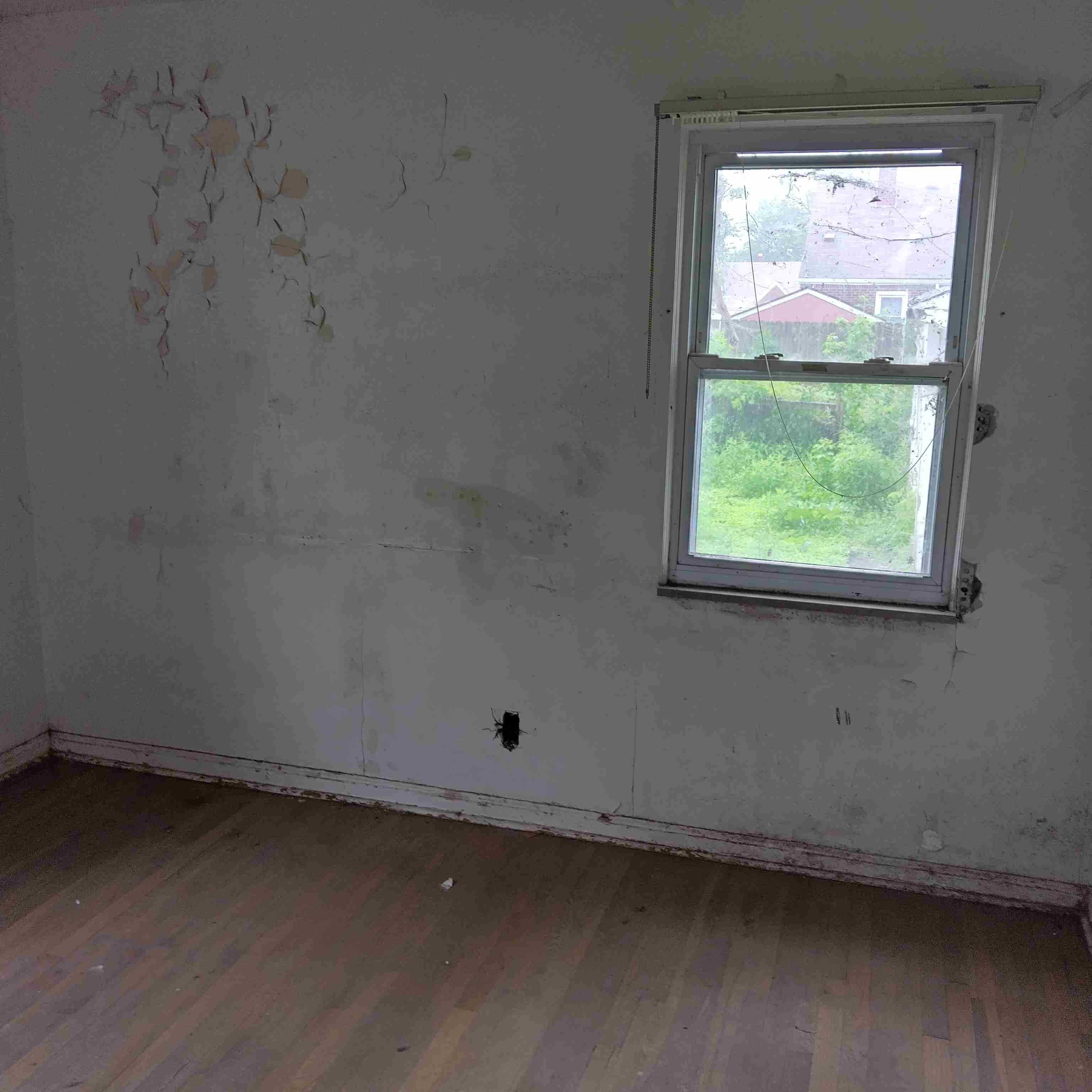 IMG_20250521_104518_HDR.jpg