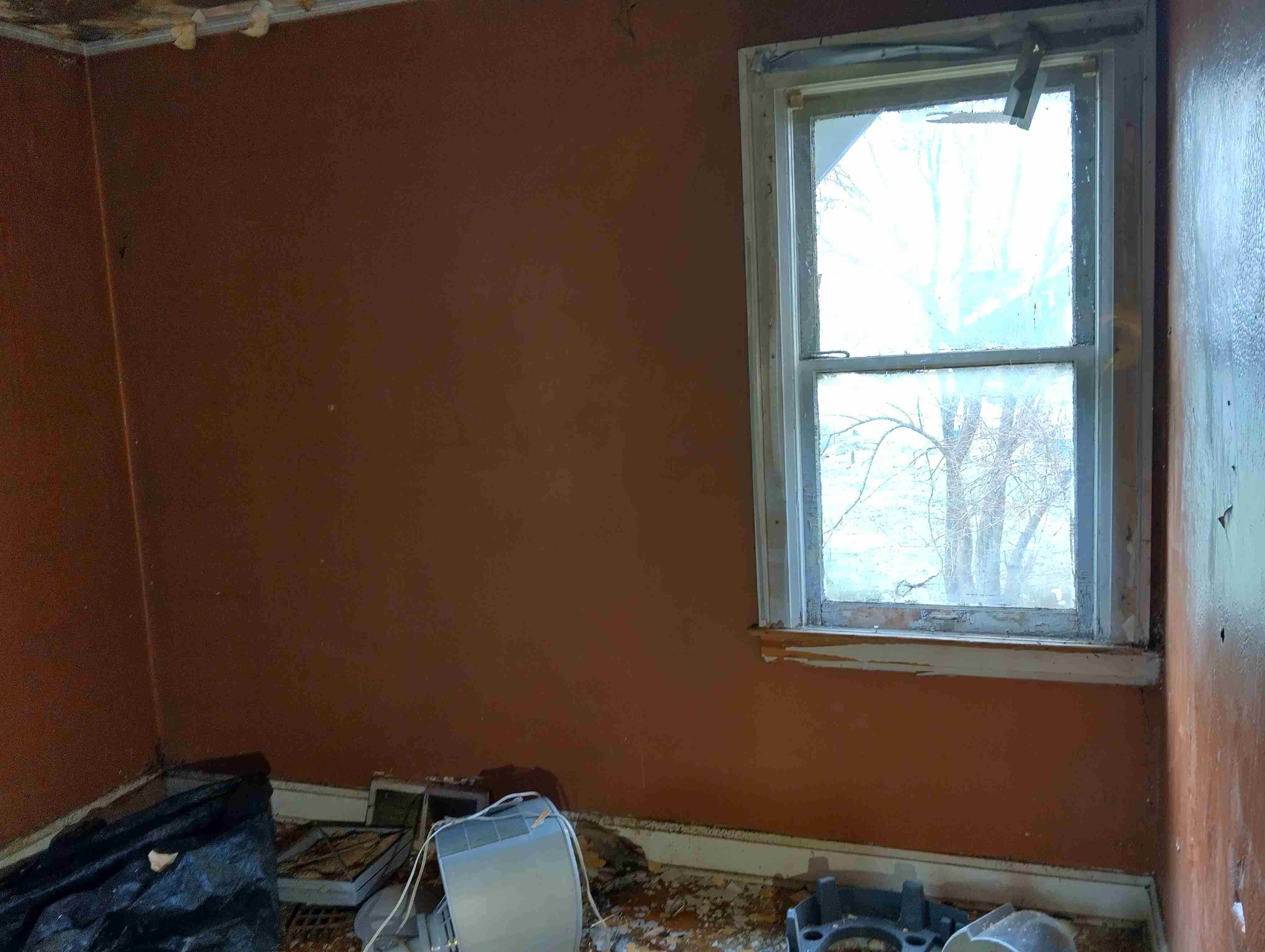 IMG_20260410_123147_HDR.jpg