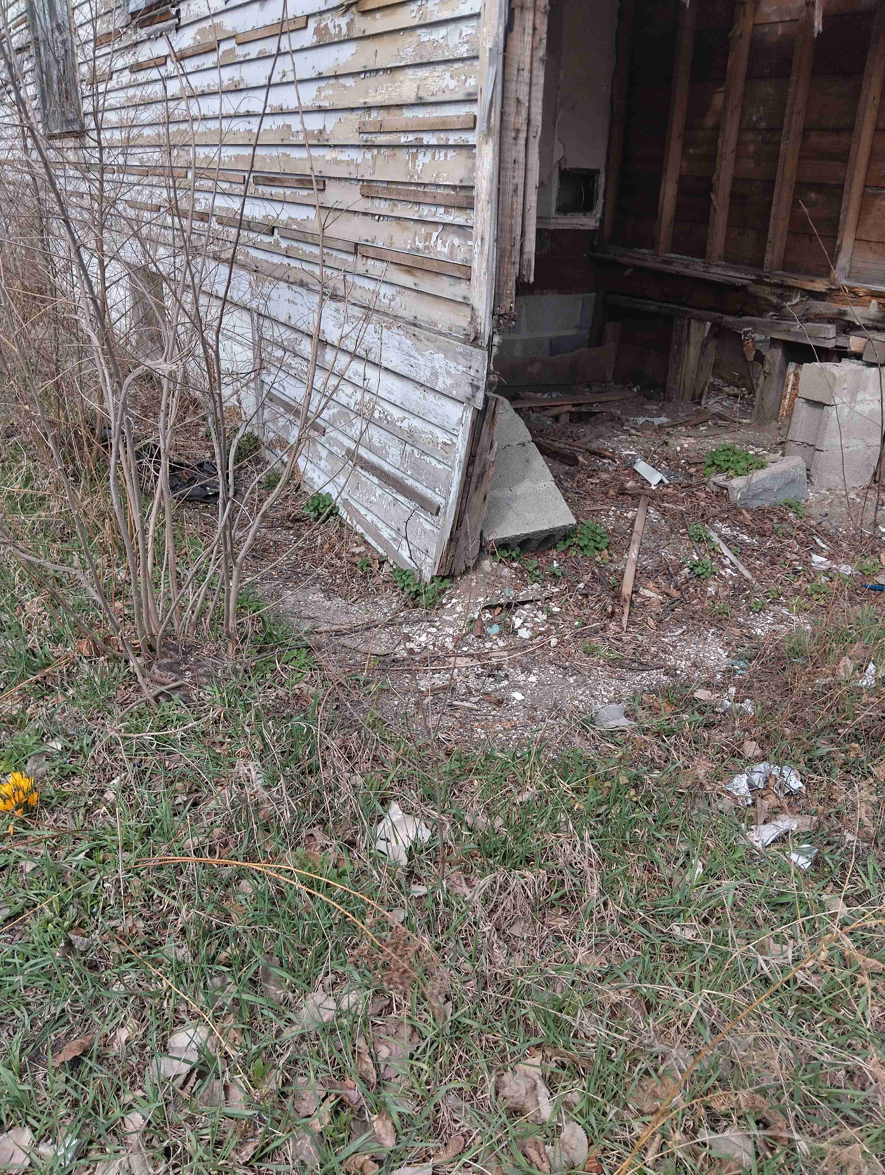 IMG_20260331_115735_HDR.jpg