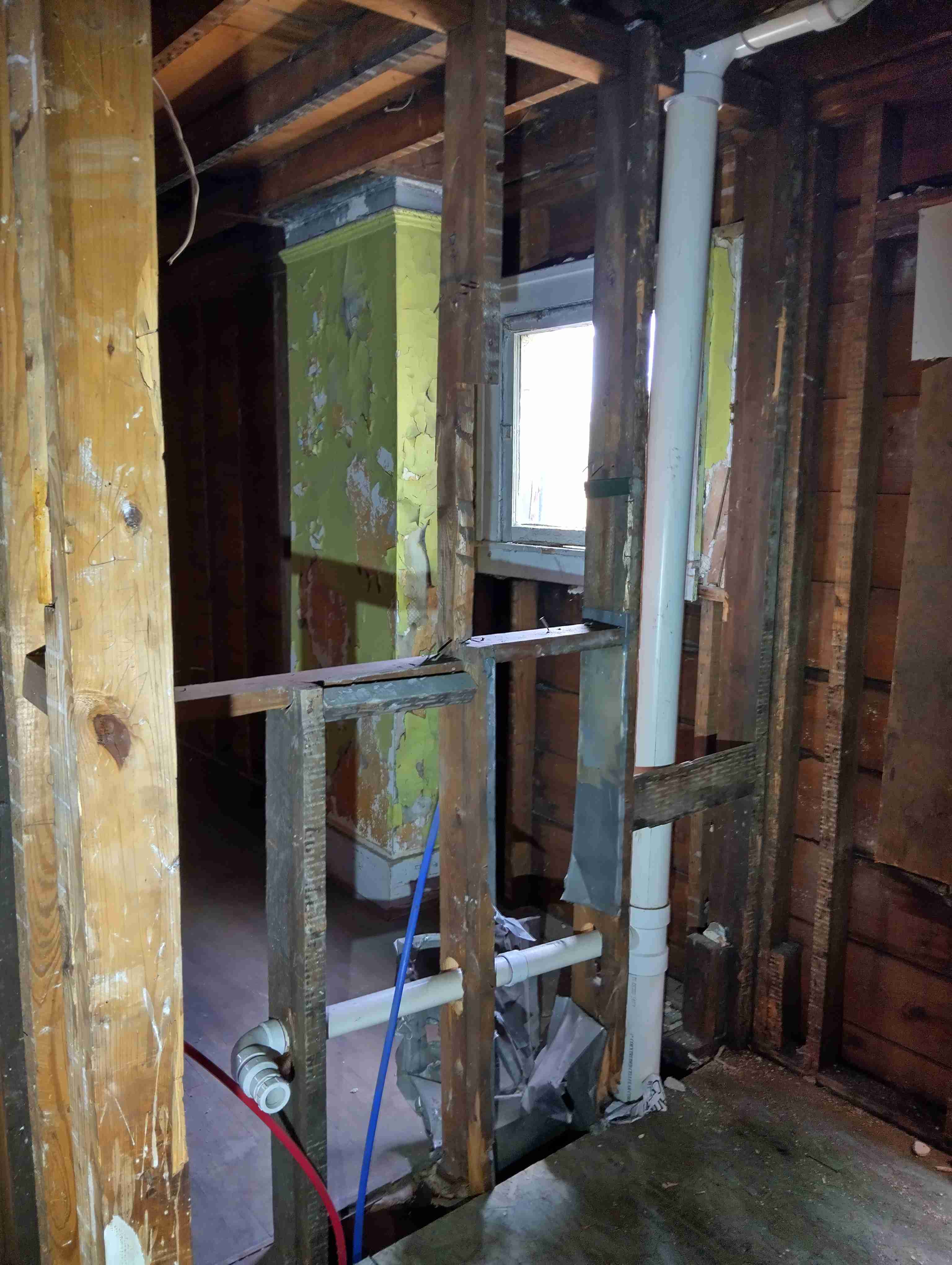 IMG_20260428_120444_HDR.jpg