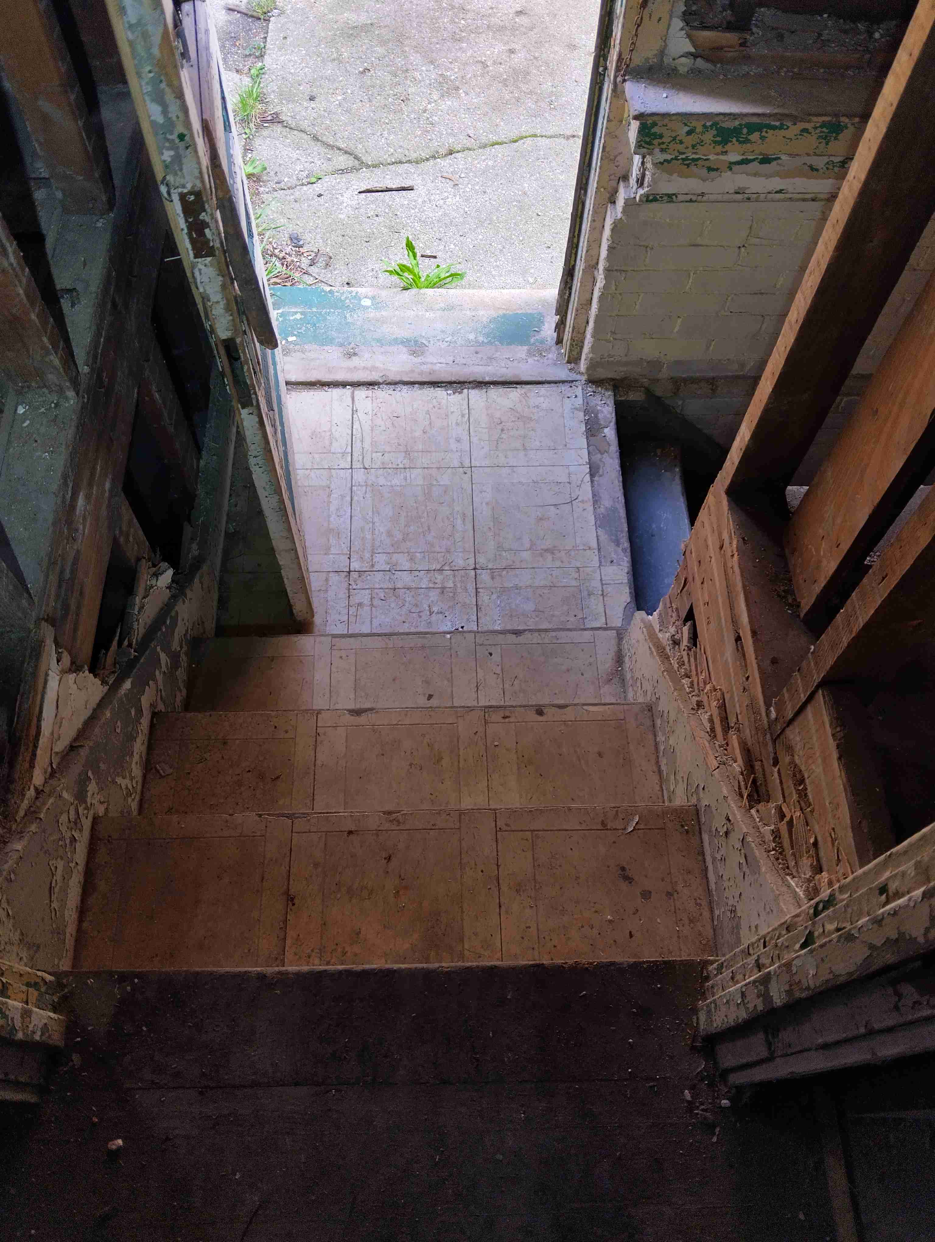 IMG_20260428_120609_HDR.jpg