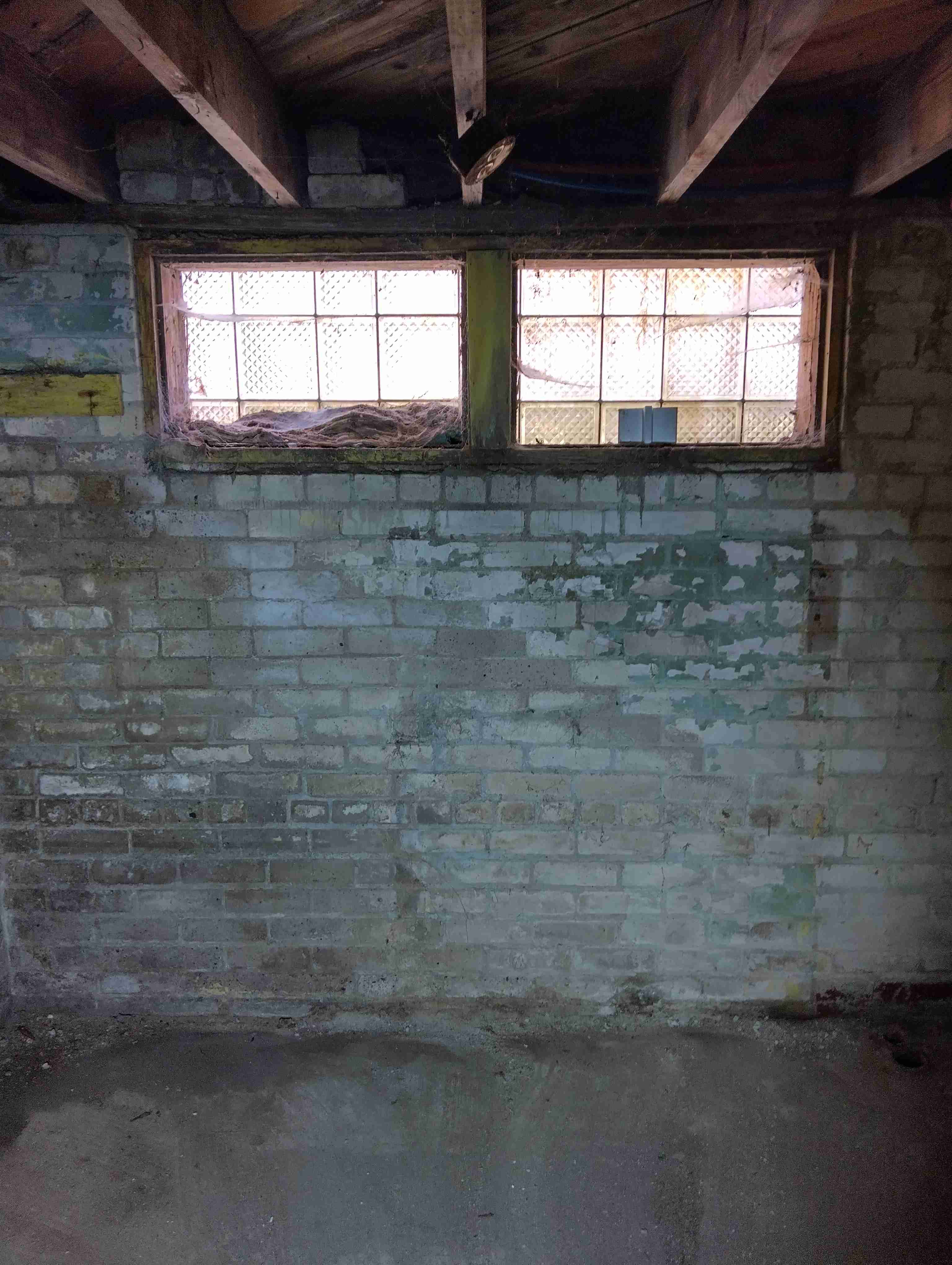 IMG_20260428_120835_HDR.jpg