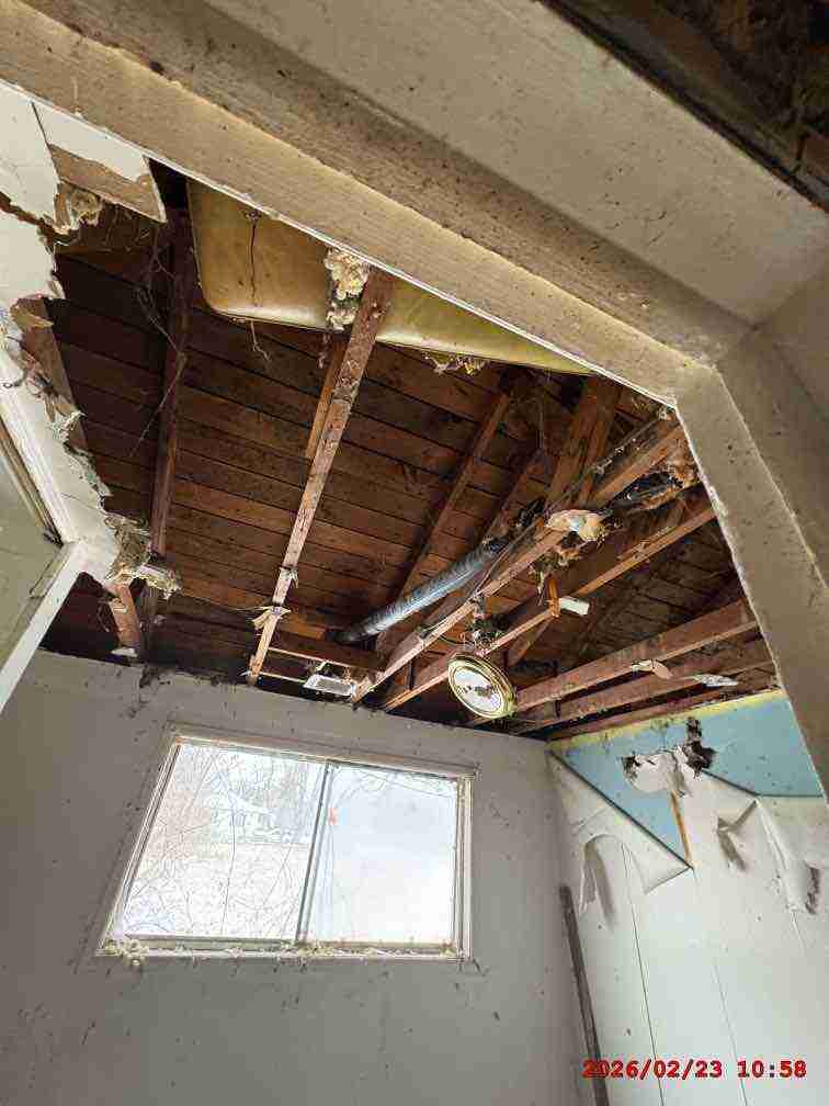 3135736-1_042.jpg