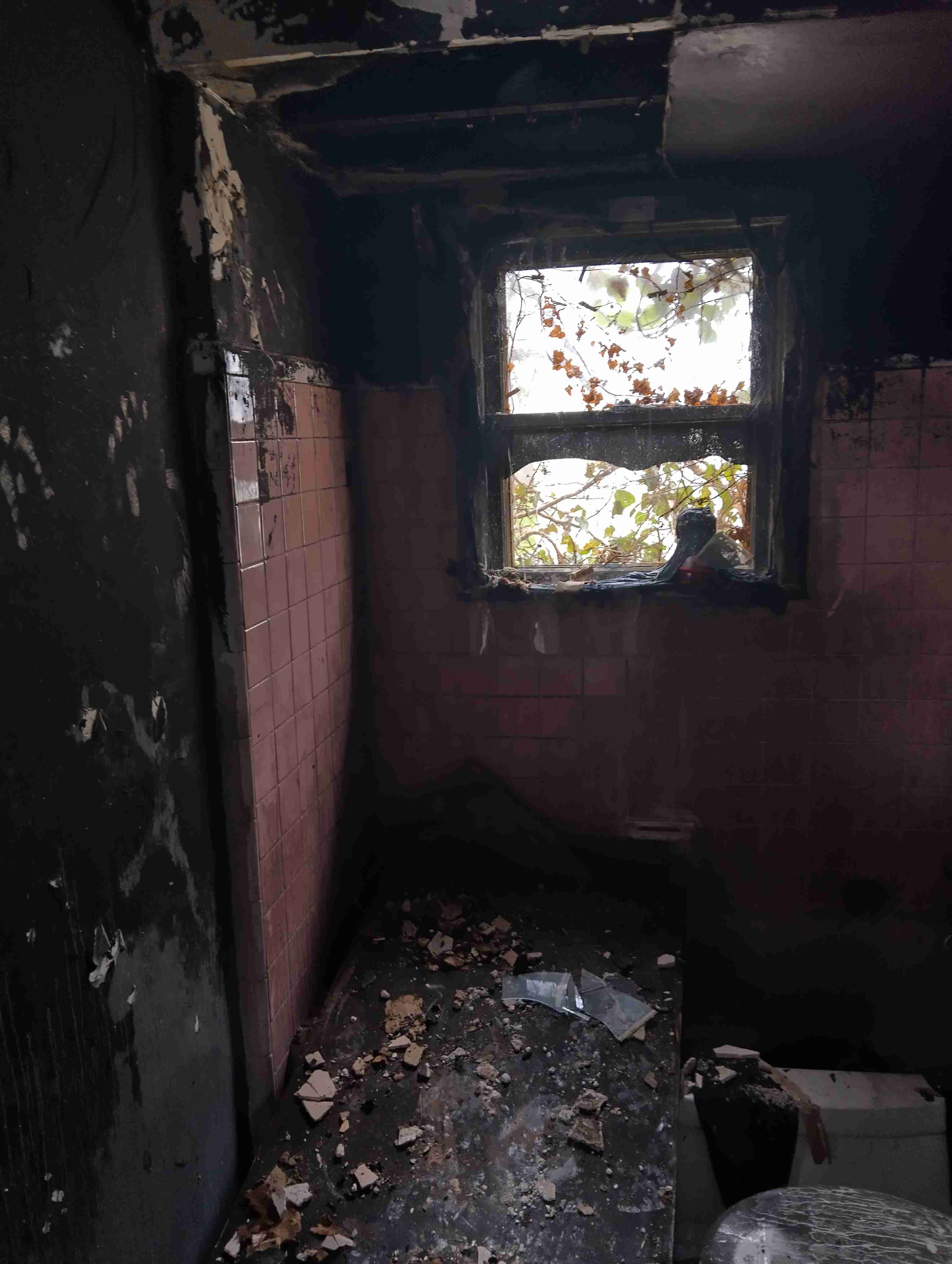 IMG_20260413_120909_HDR.jpg