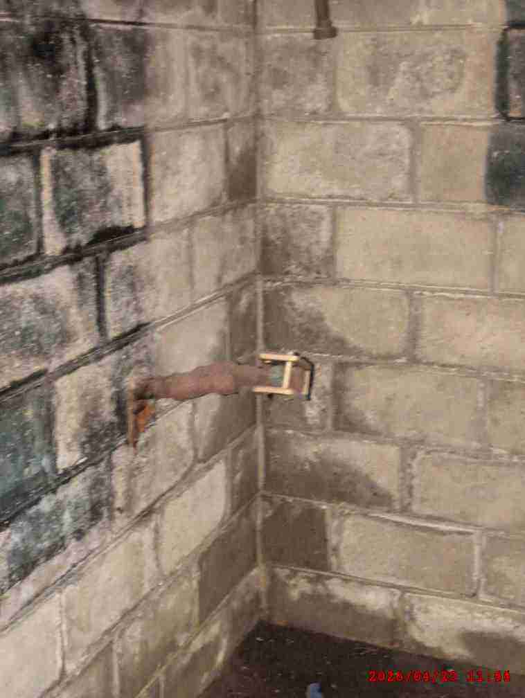 3137020-1_078.jpg