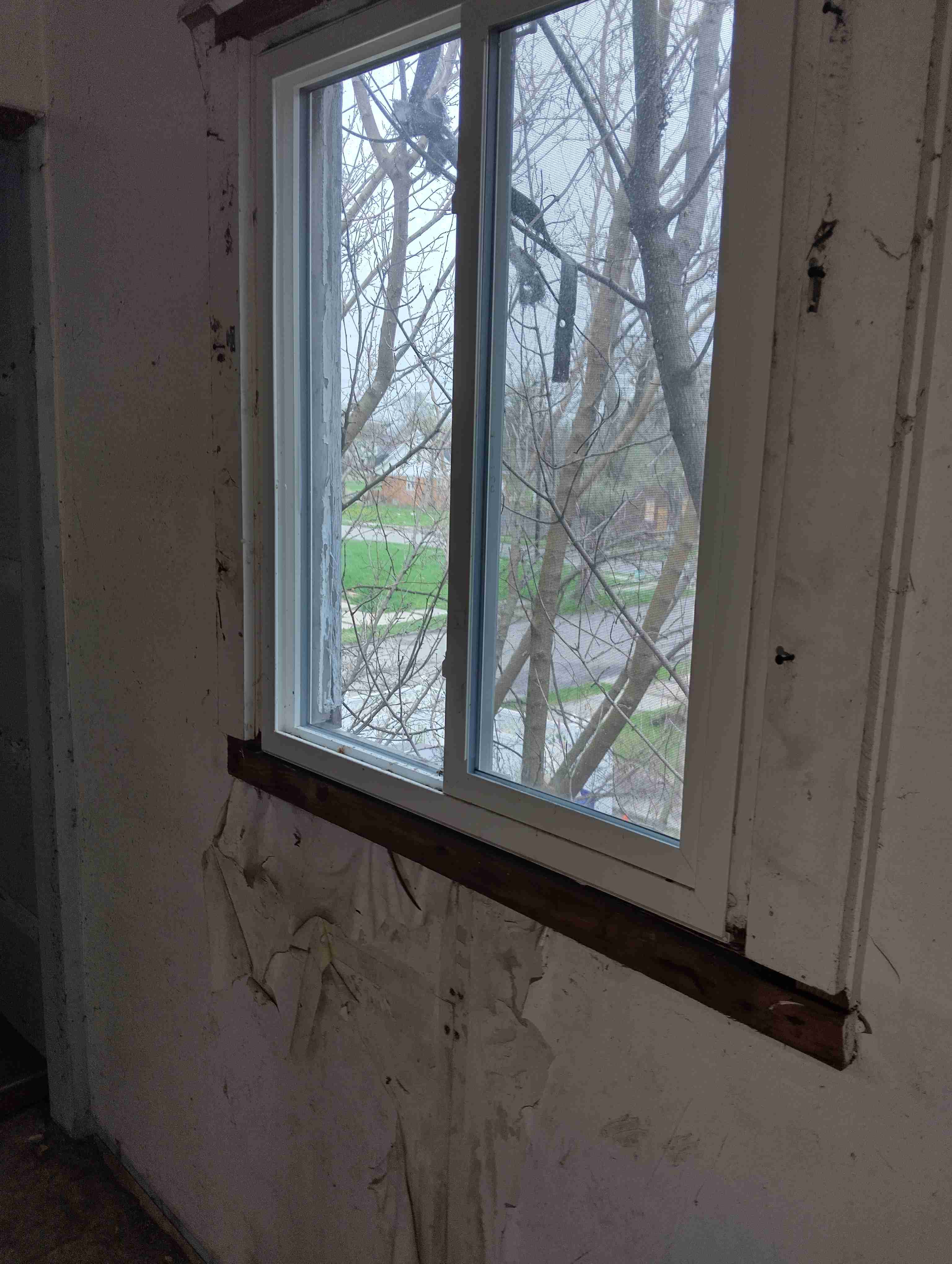 IMG_20260415_133418_HDR.jpg