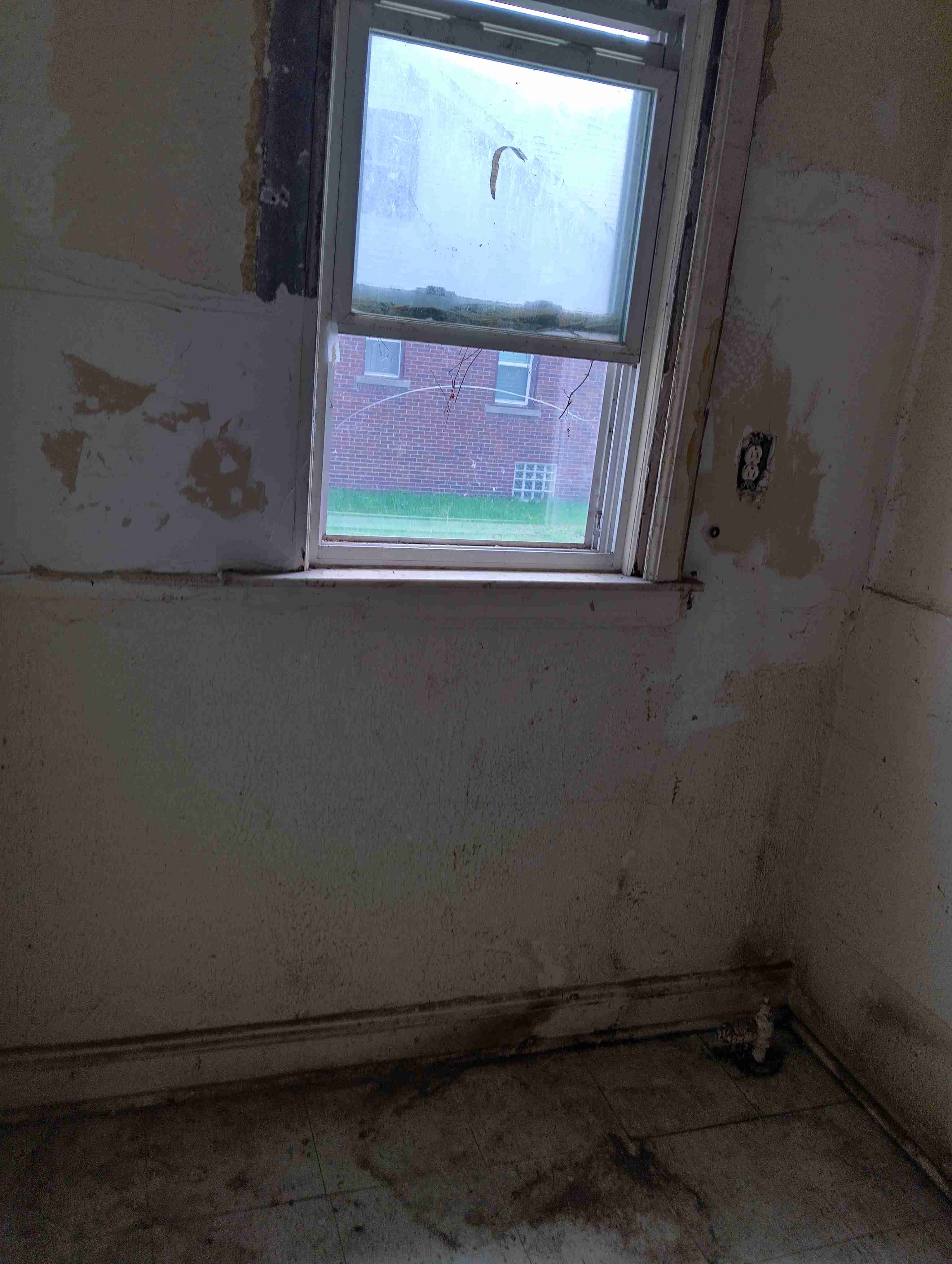 IMG_20260421_135306_HDR.jpg