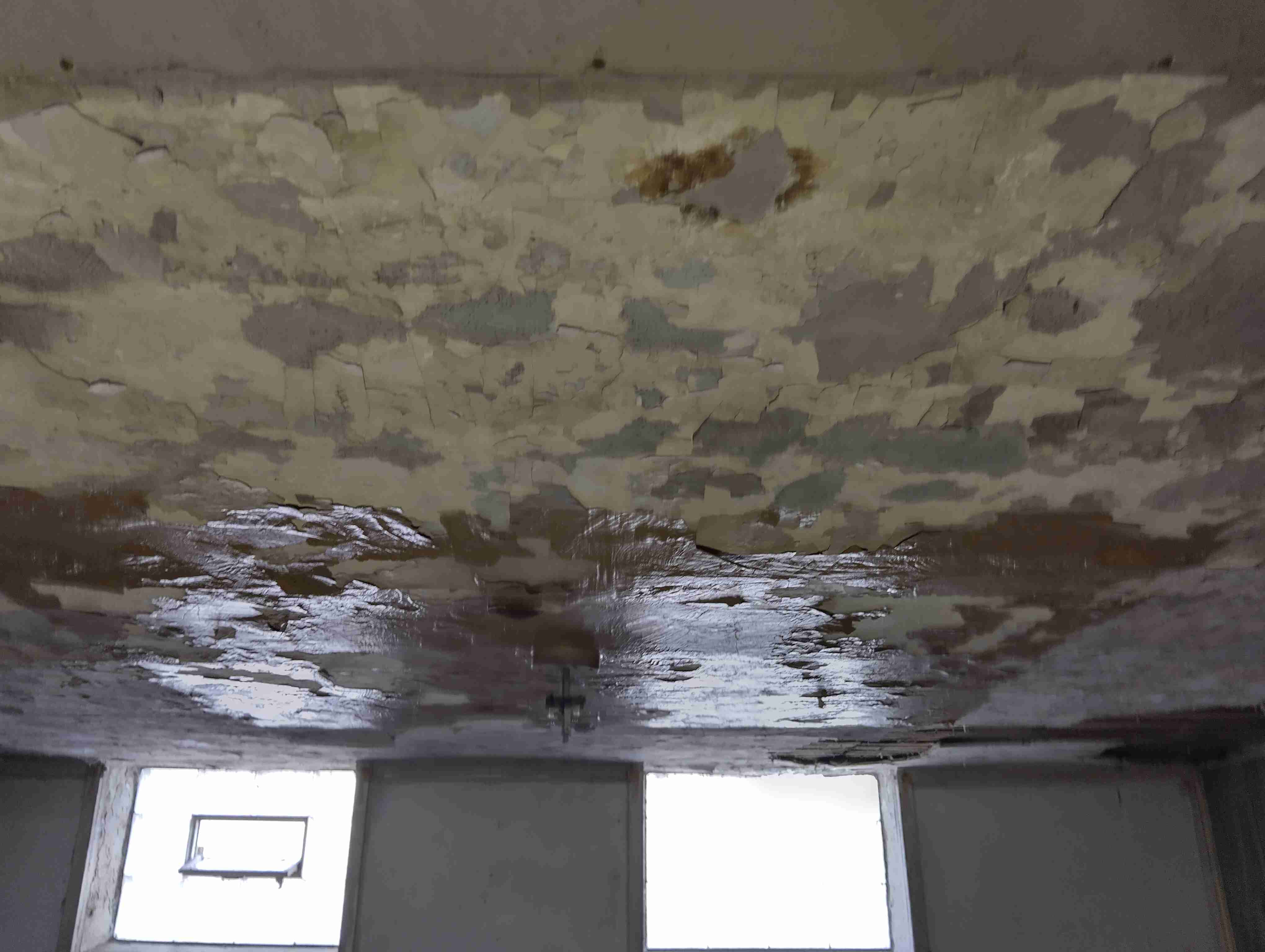 IMG_20260421_135954_HDR.jpg