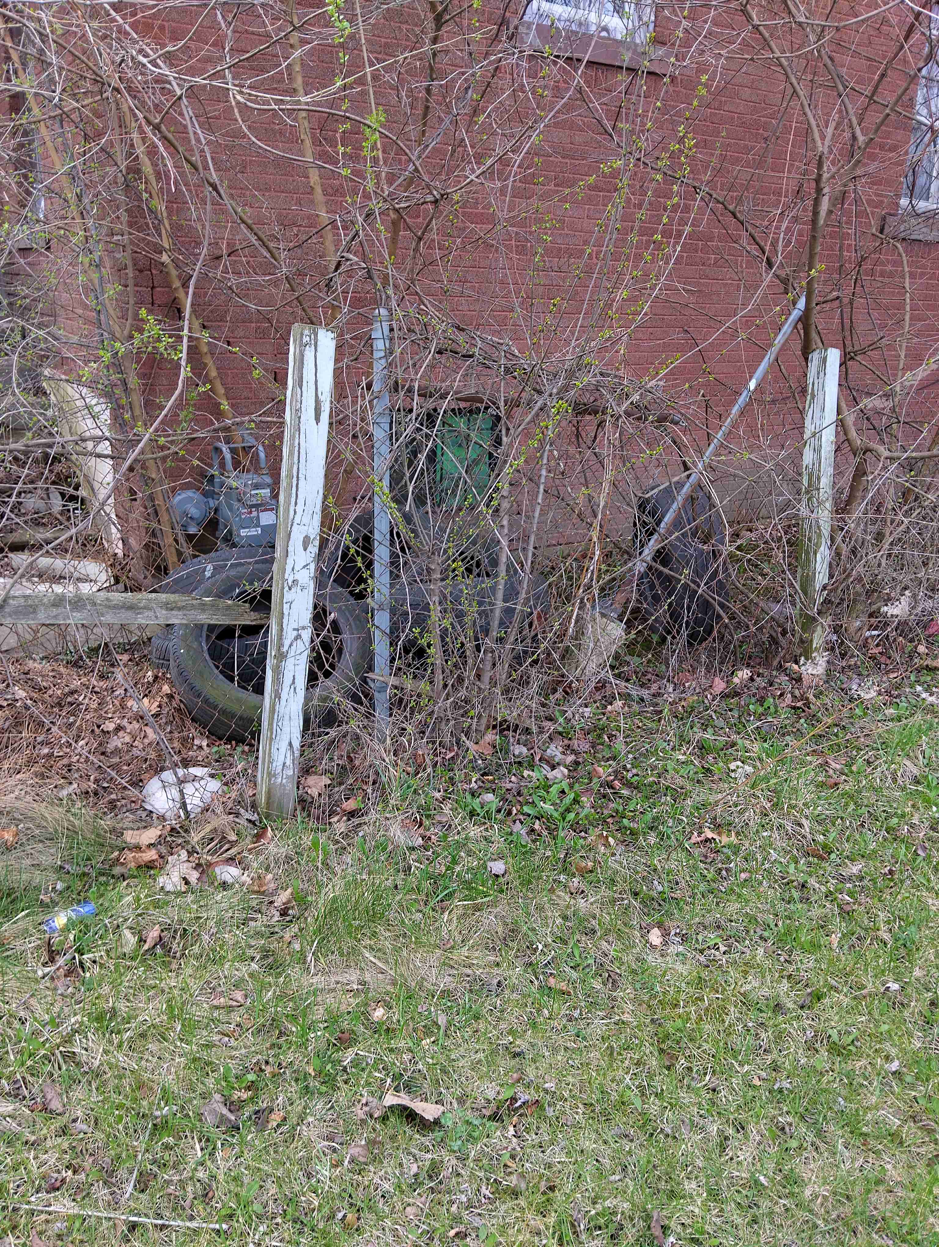 IMG_20260413_130525_HDR.jpg