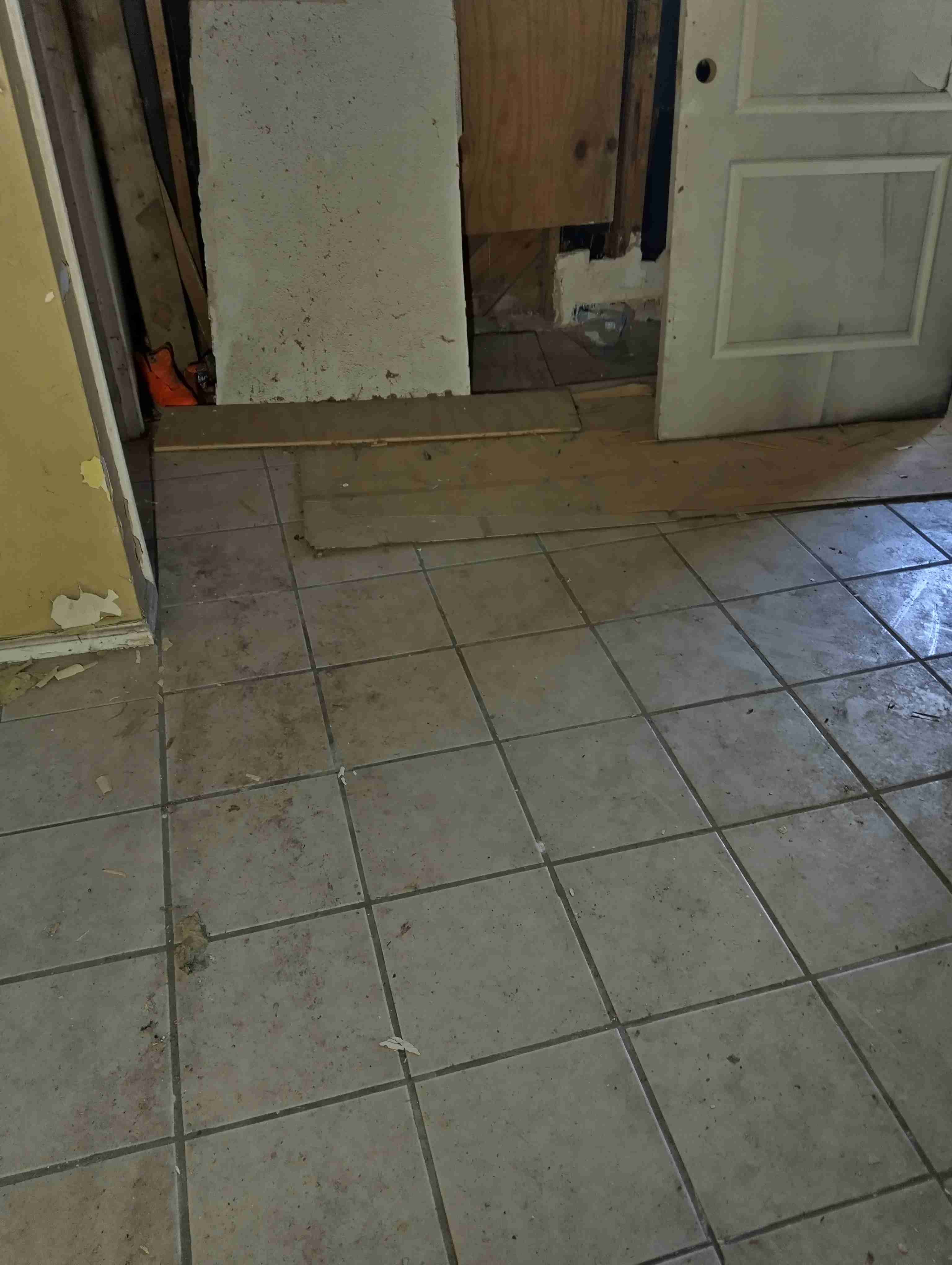 IMG_20260327_123858_HDR.jpg