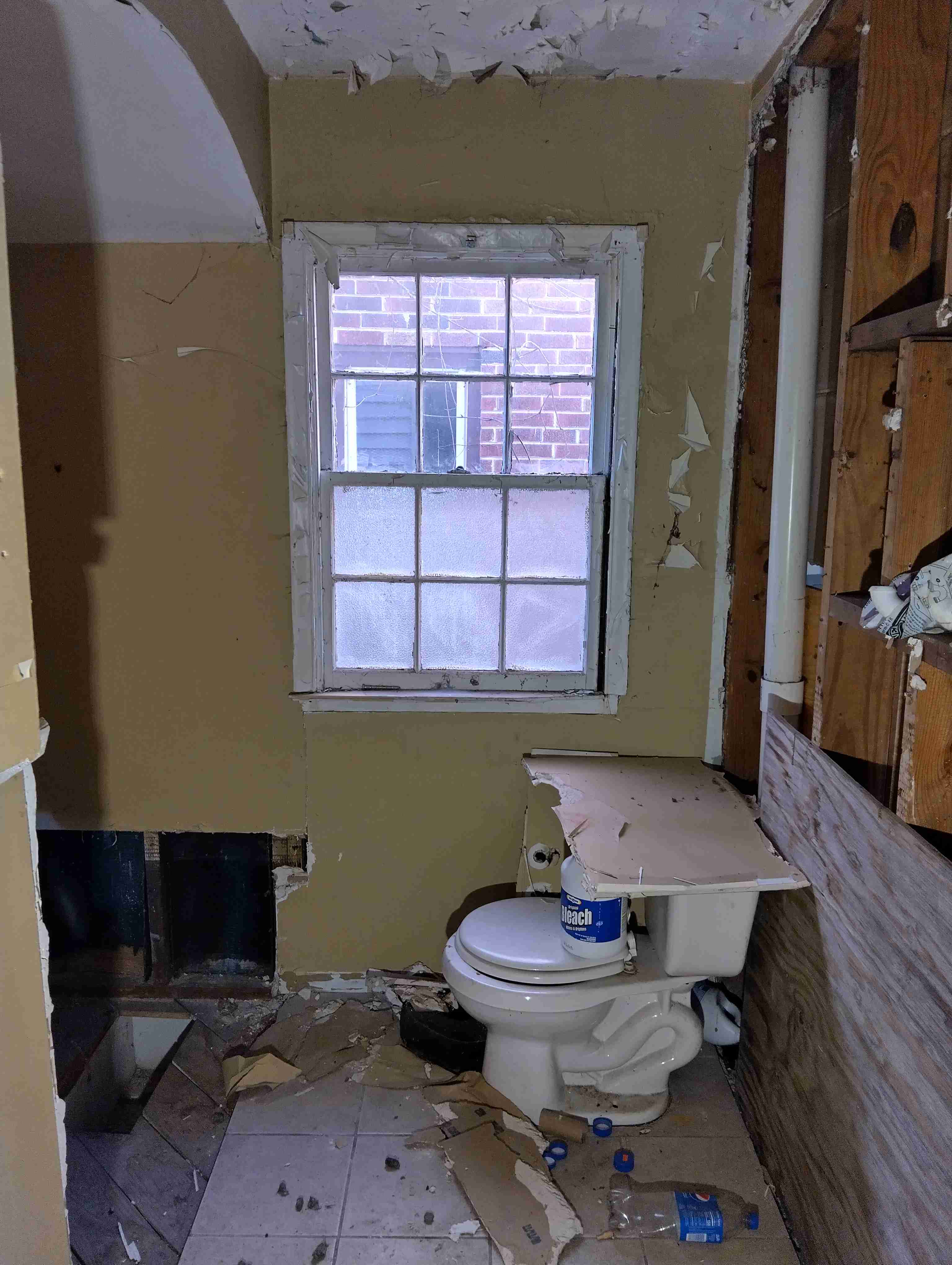 IMG_20260327_123938_HDR.jpg