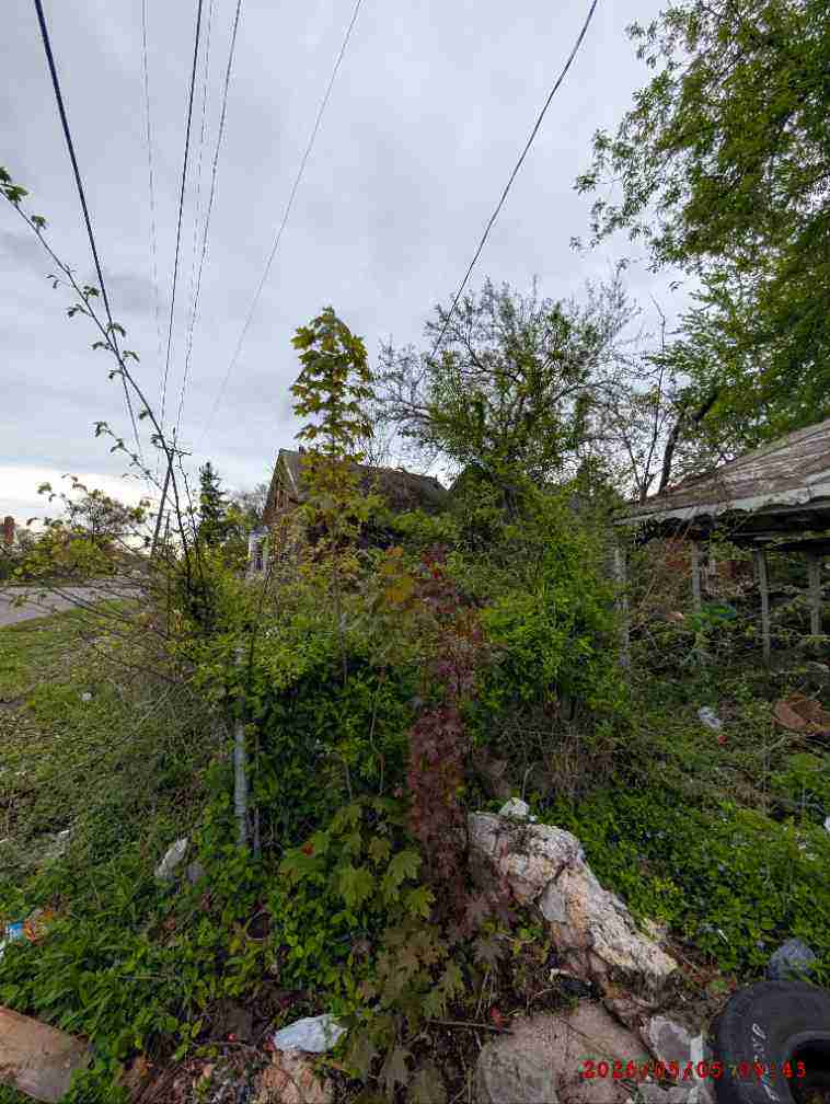 3137360-1_044.jpg