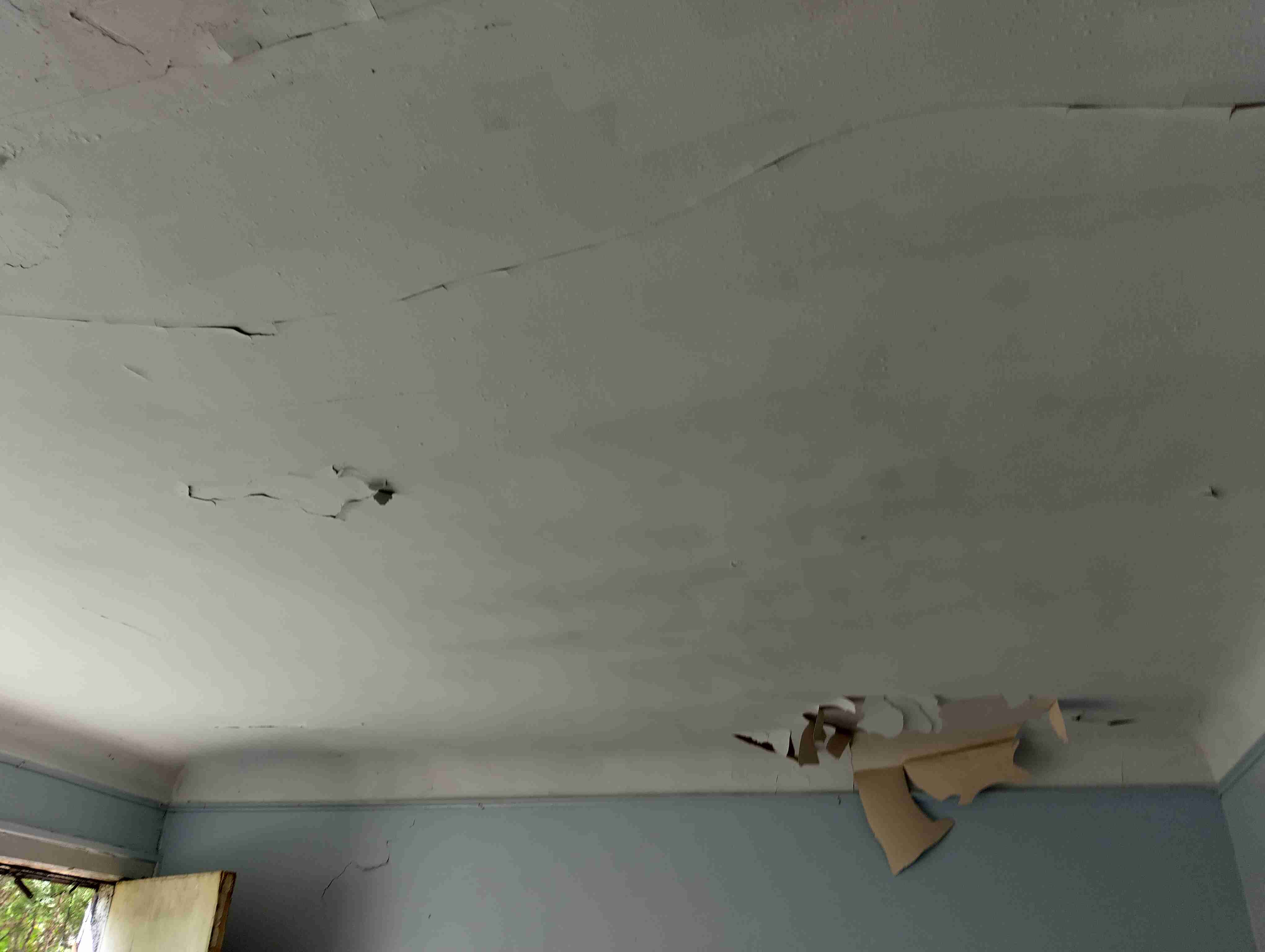 IMG_20260514_144827_HDR.jpg