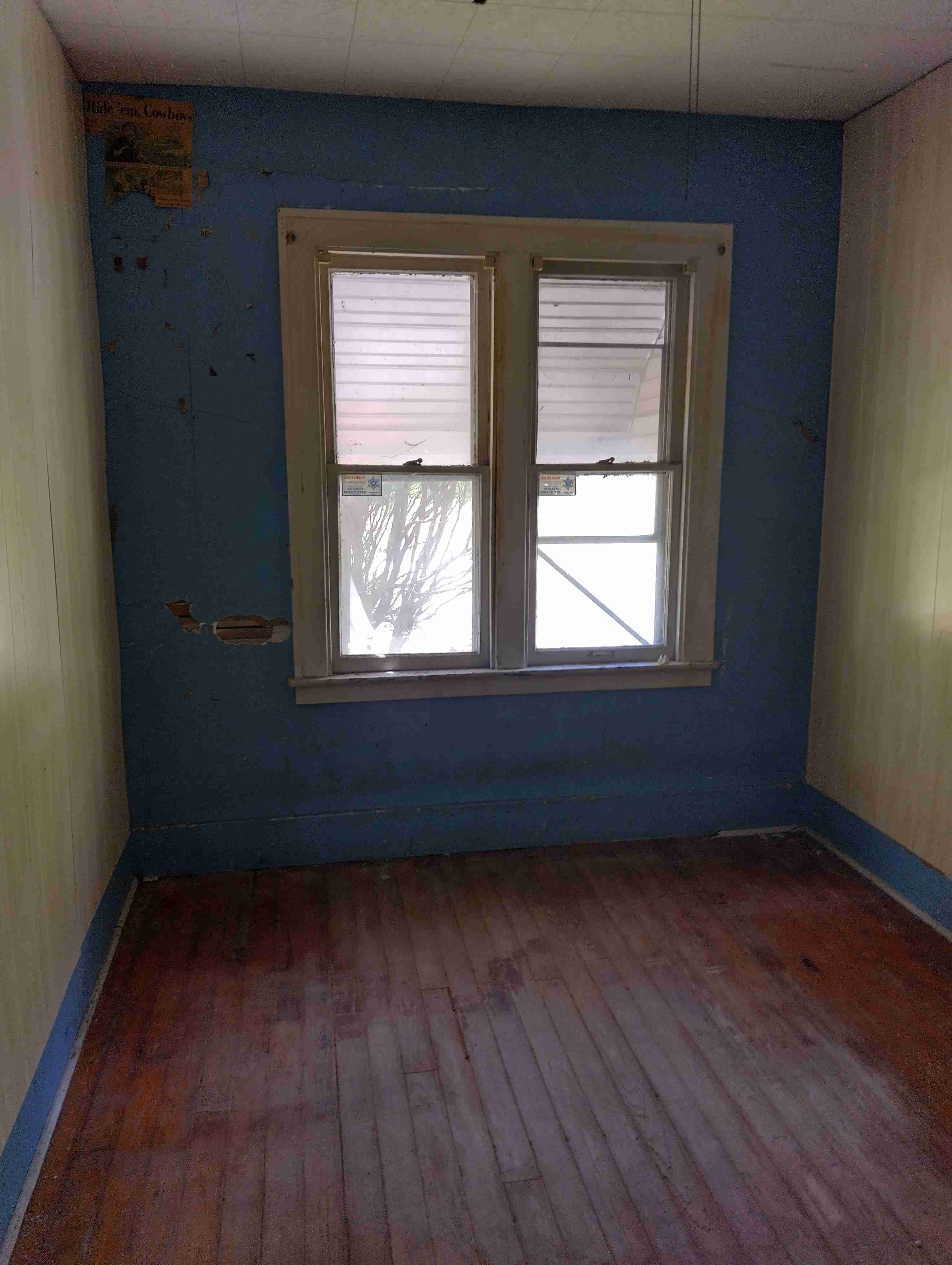 IMG_20260514_144915_HDR.jpg