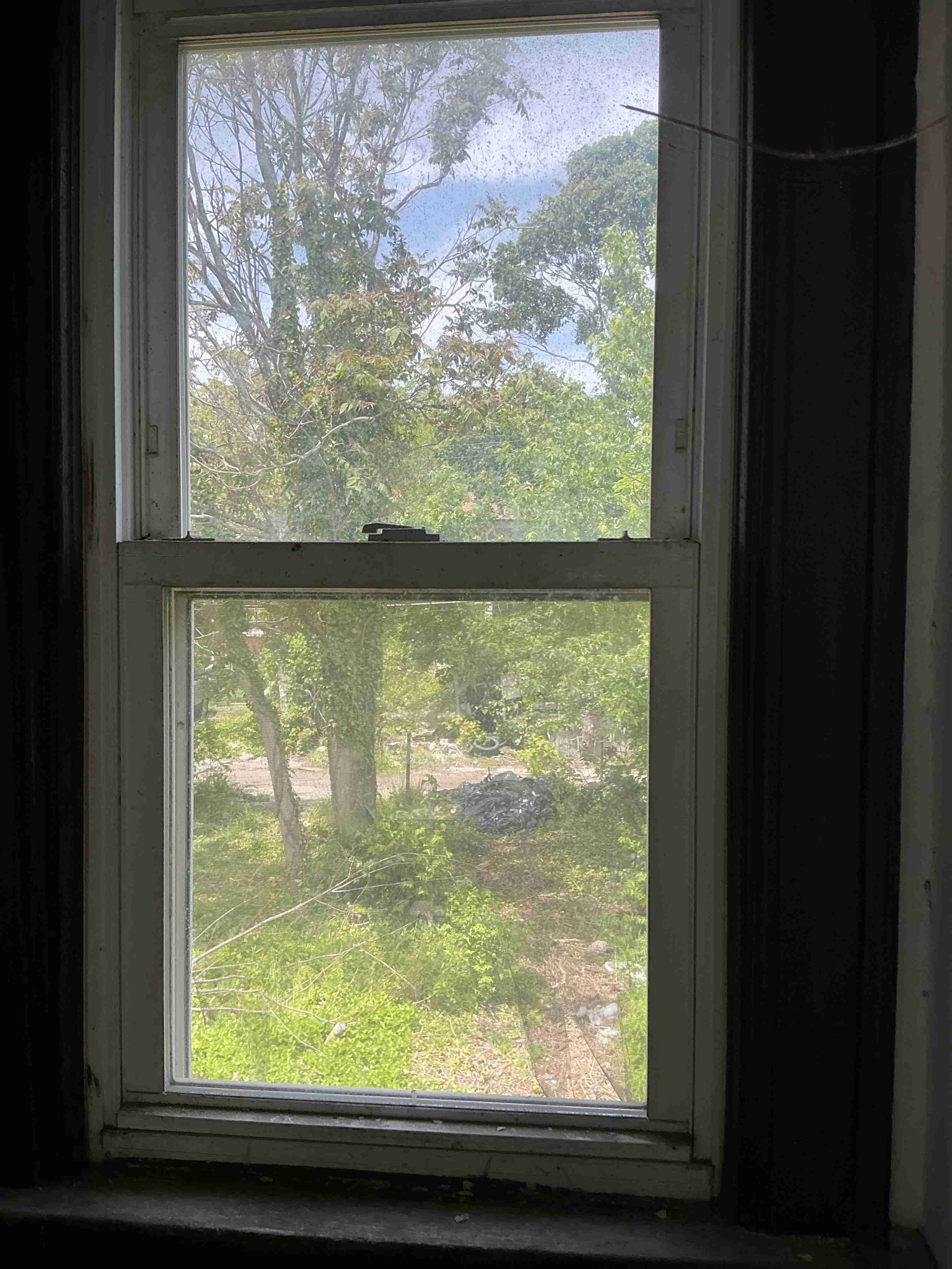 IMG_8596.jpeg