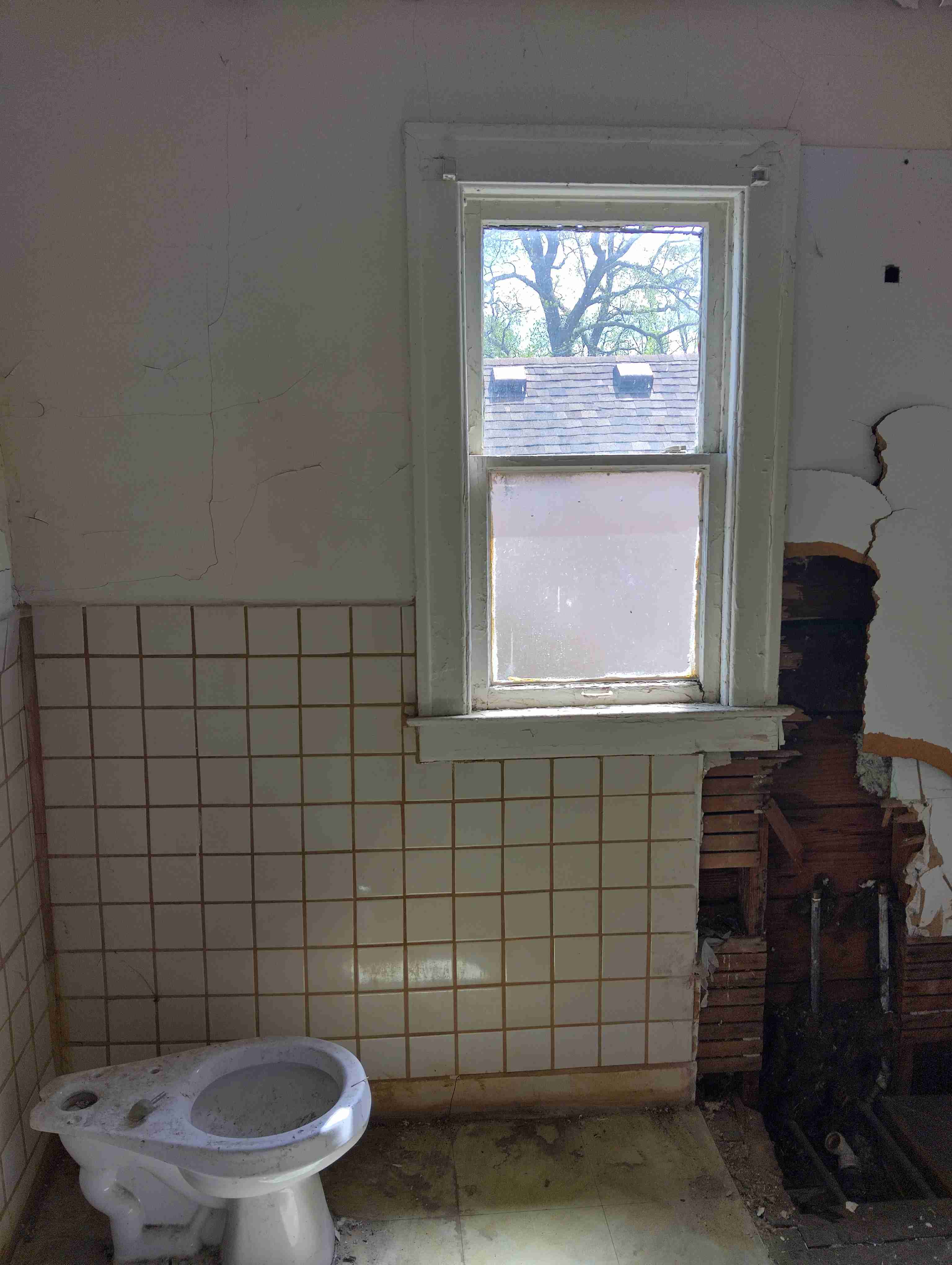 IMG_20260514_142126_HDR.jpg