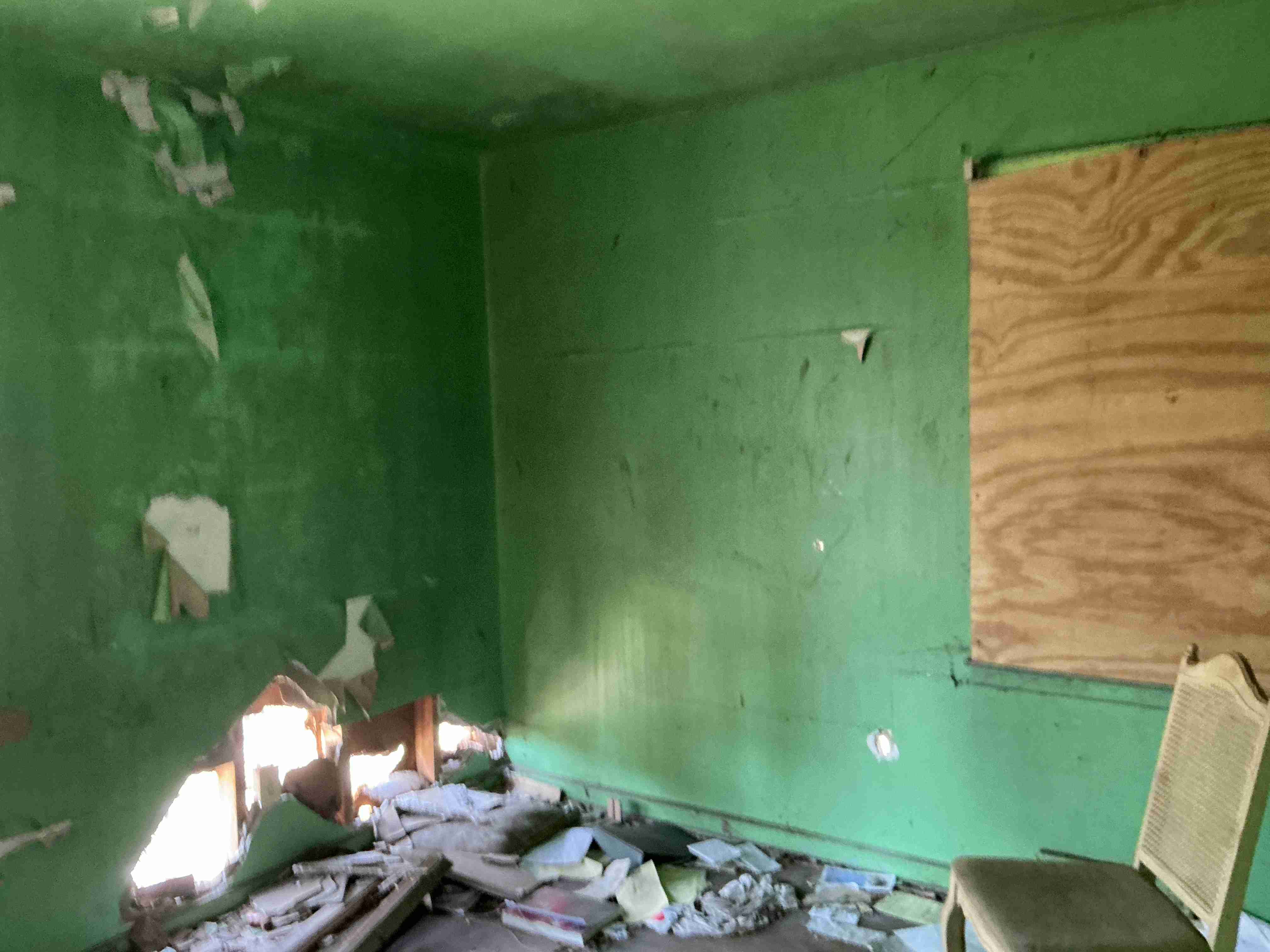 IMG_4368.jpeg