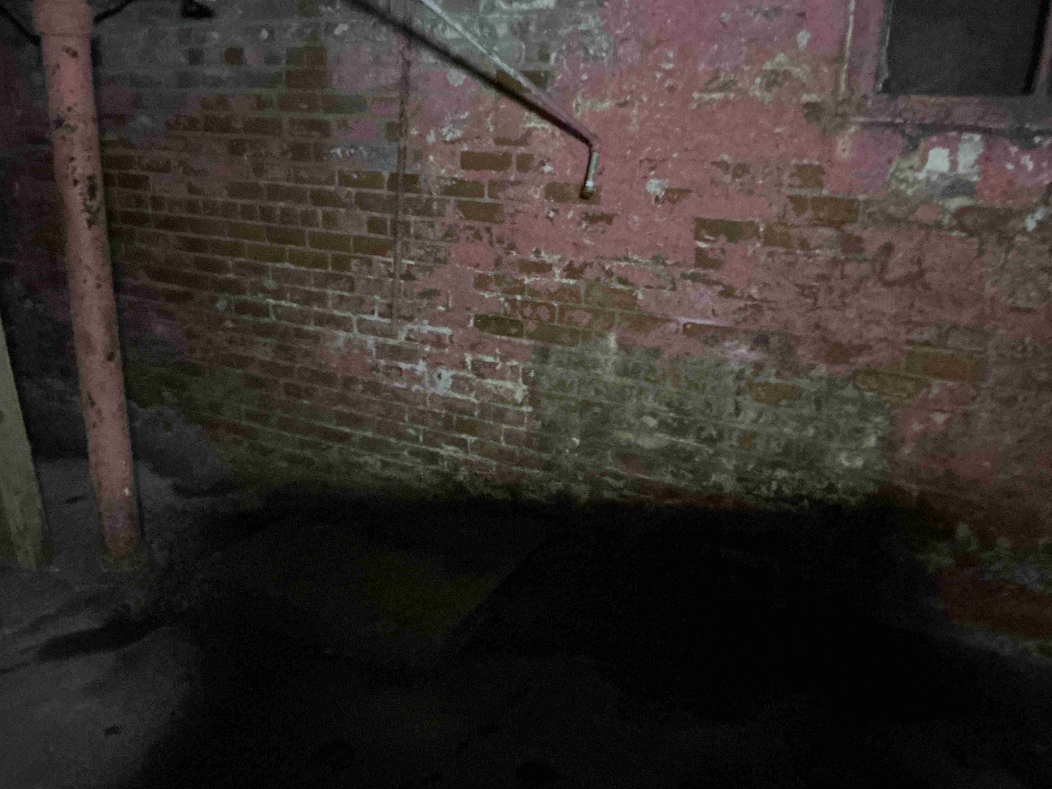 IMG_8309.jpeg