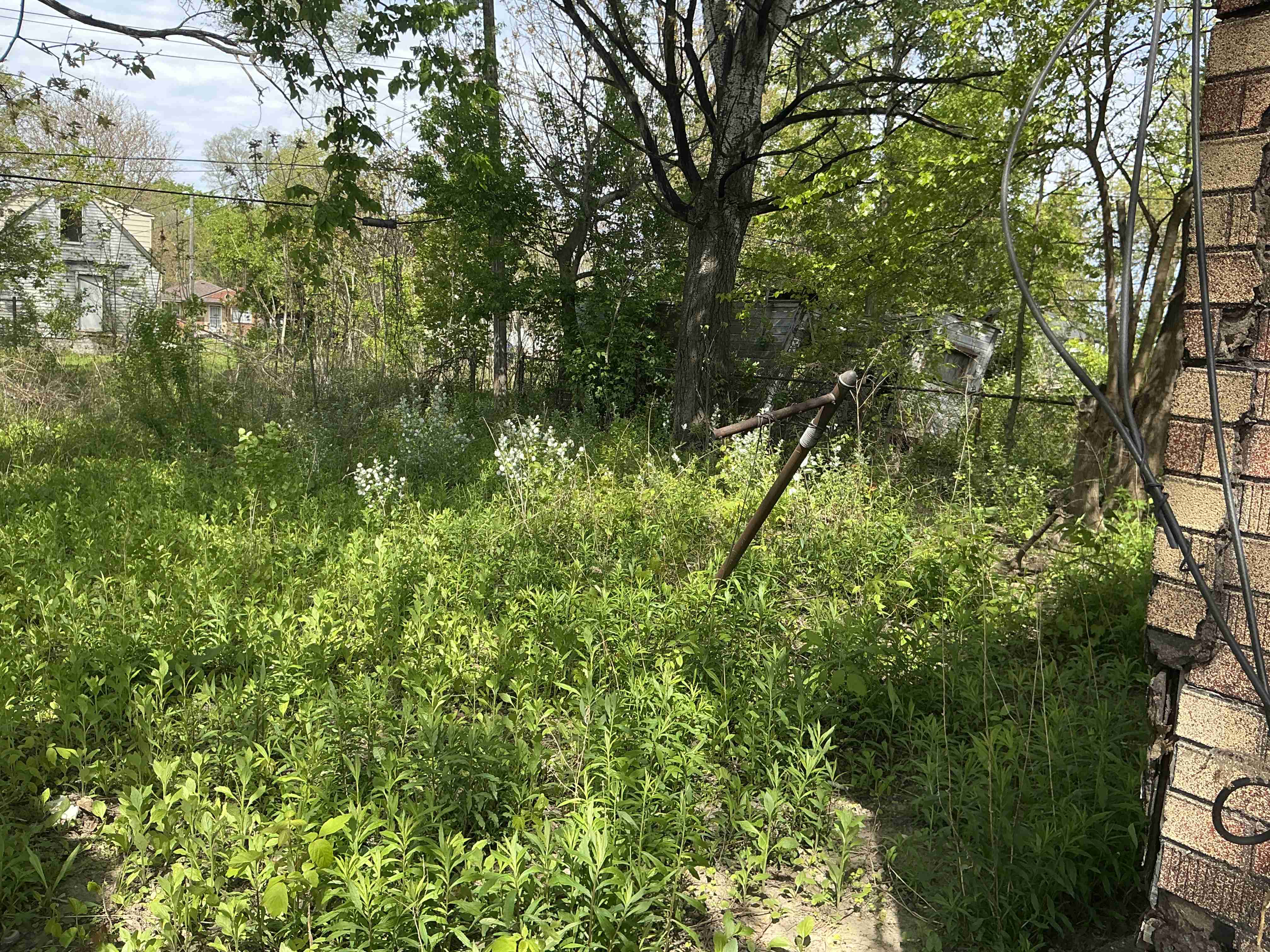 IMG_7435.jpeg