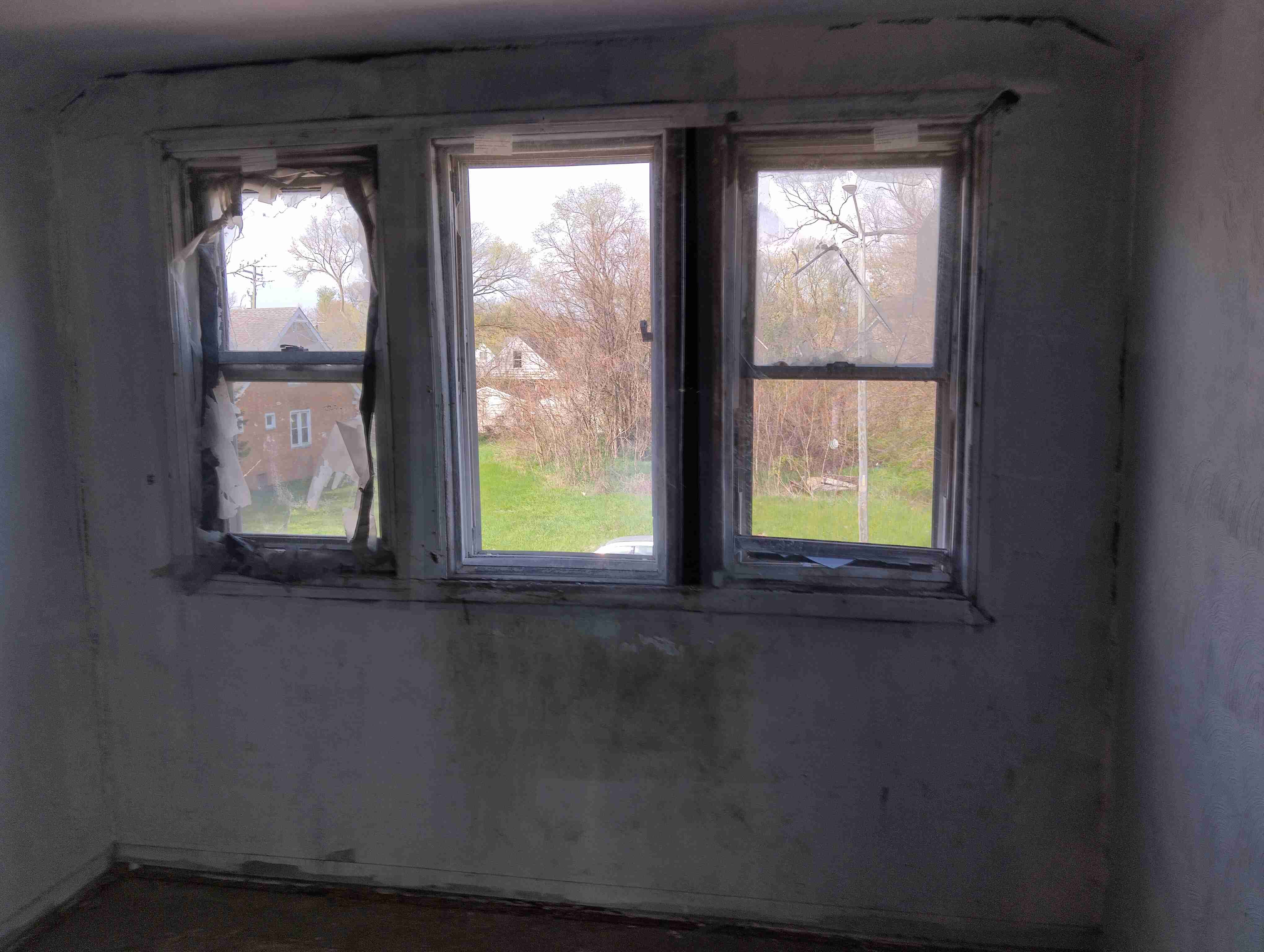IMG_20260424_105411_HDR.jpg