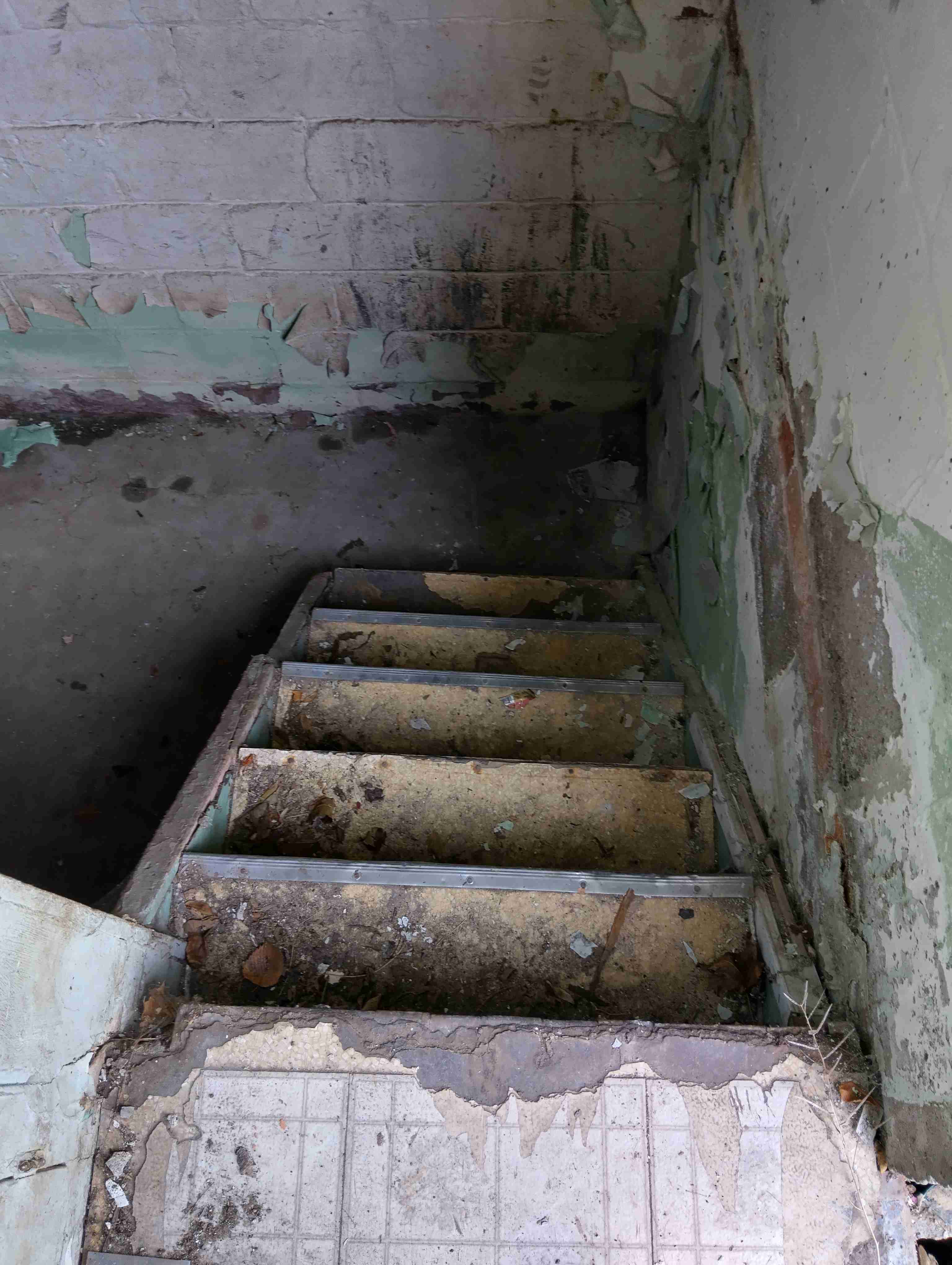 IMG_20260424_105643_HDR.jpg