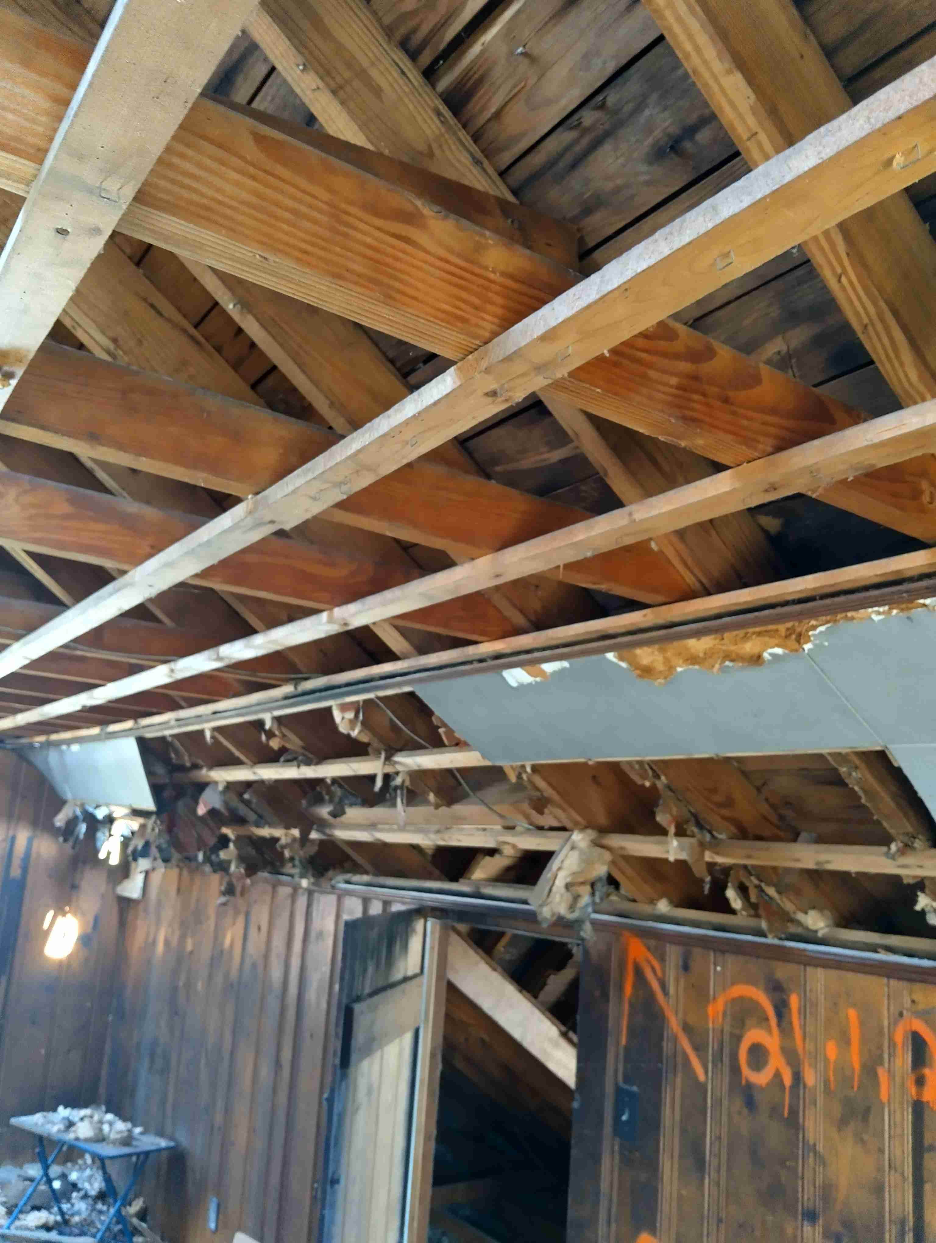 IMG_20260330_124656_HDR.jpg