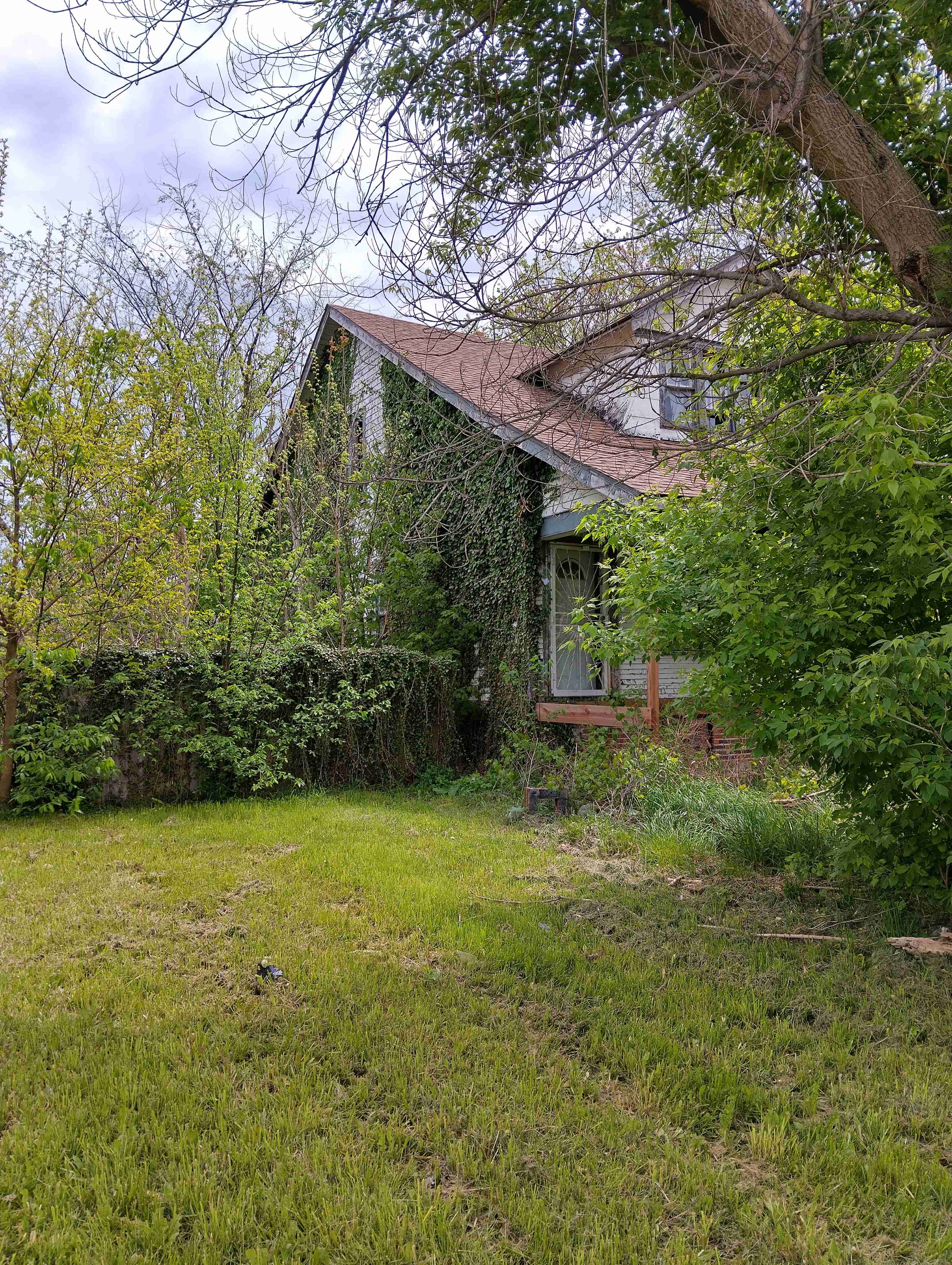 IMG_20260515_121651_HDR.jpg