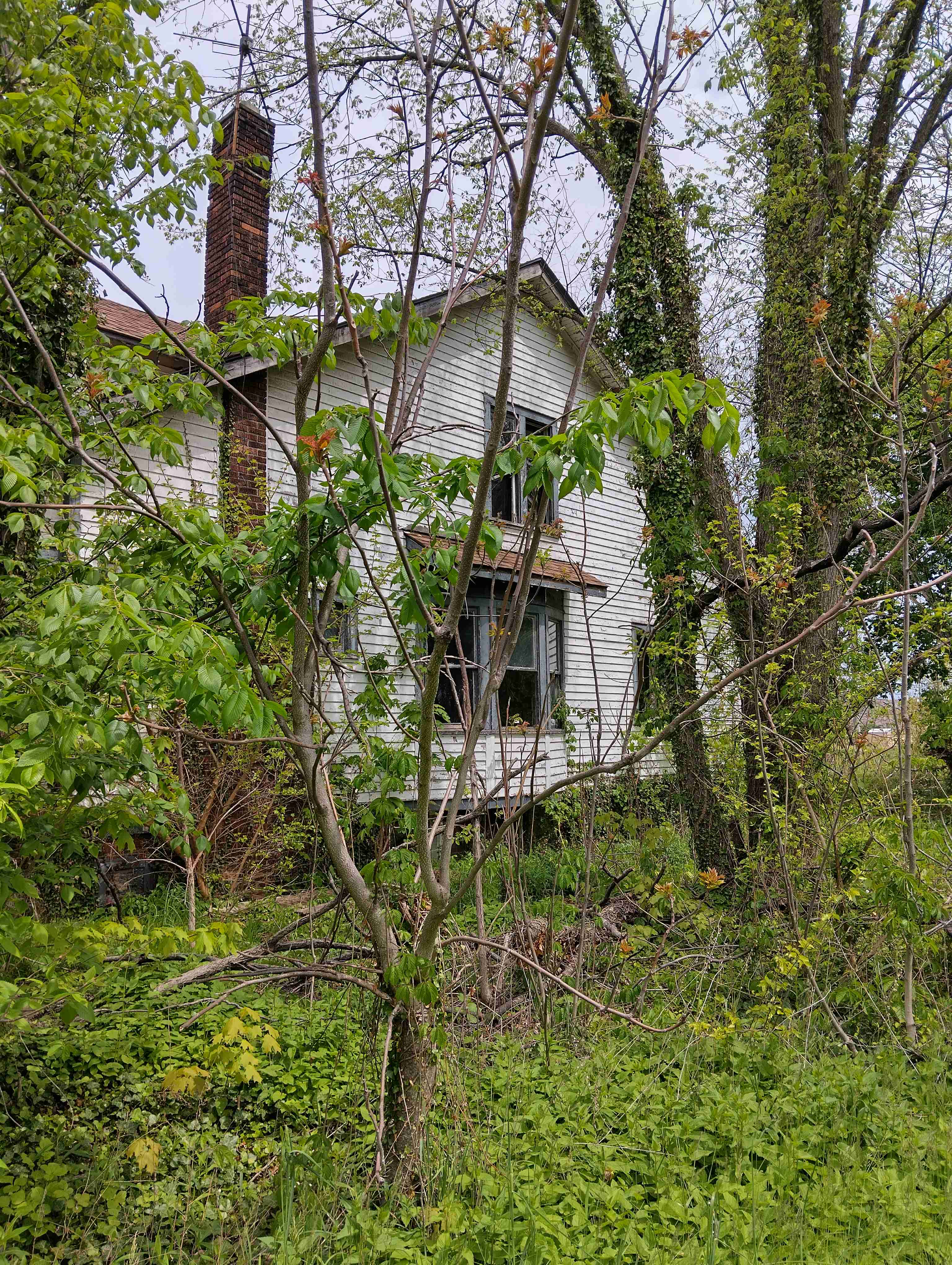 IMG_20260515_121808_HDR.jpg