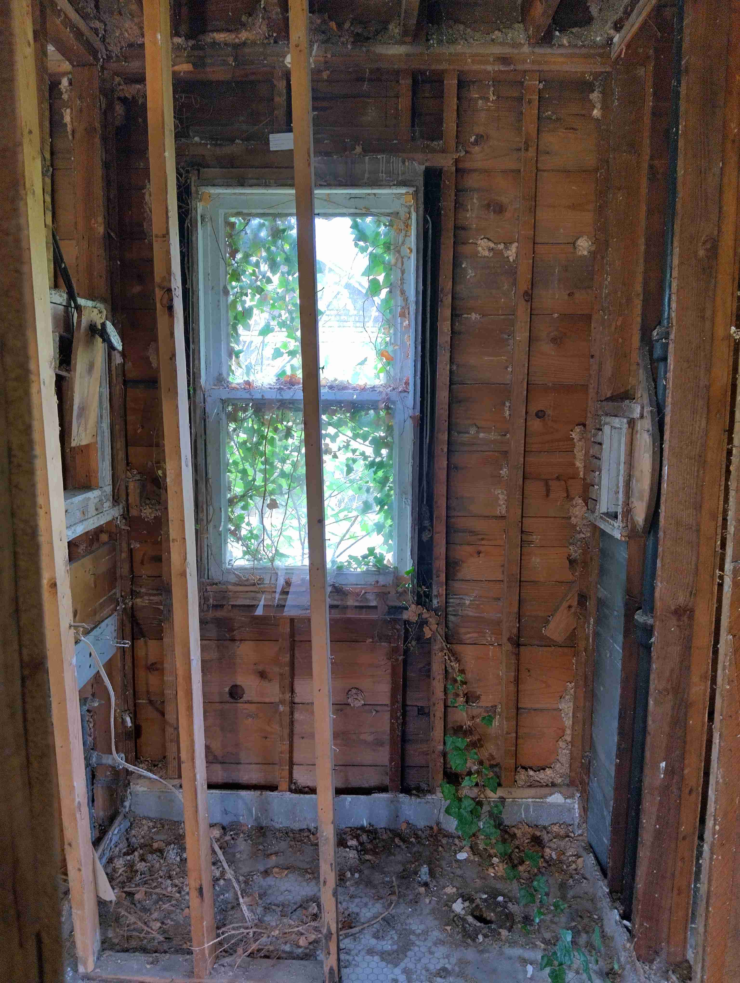 IMG_20260515_122603_HDR.jpg