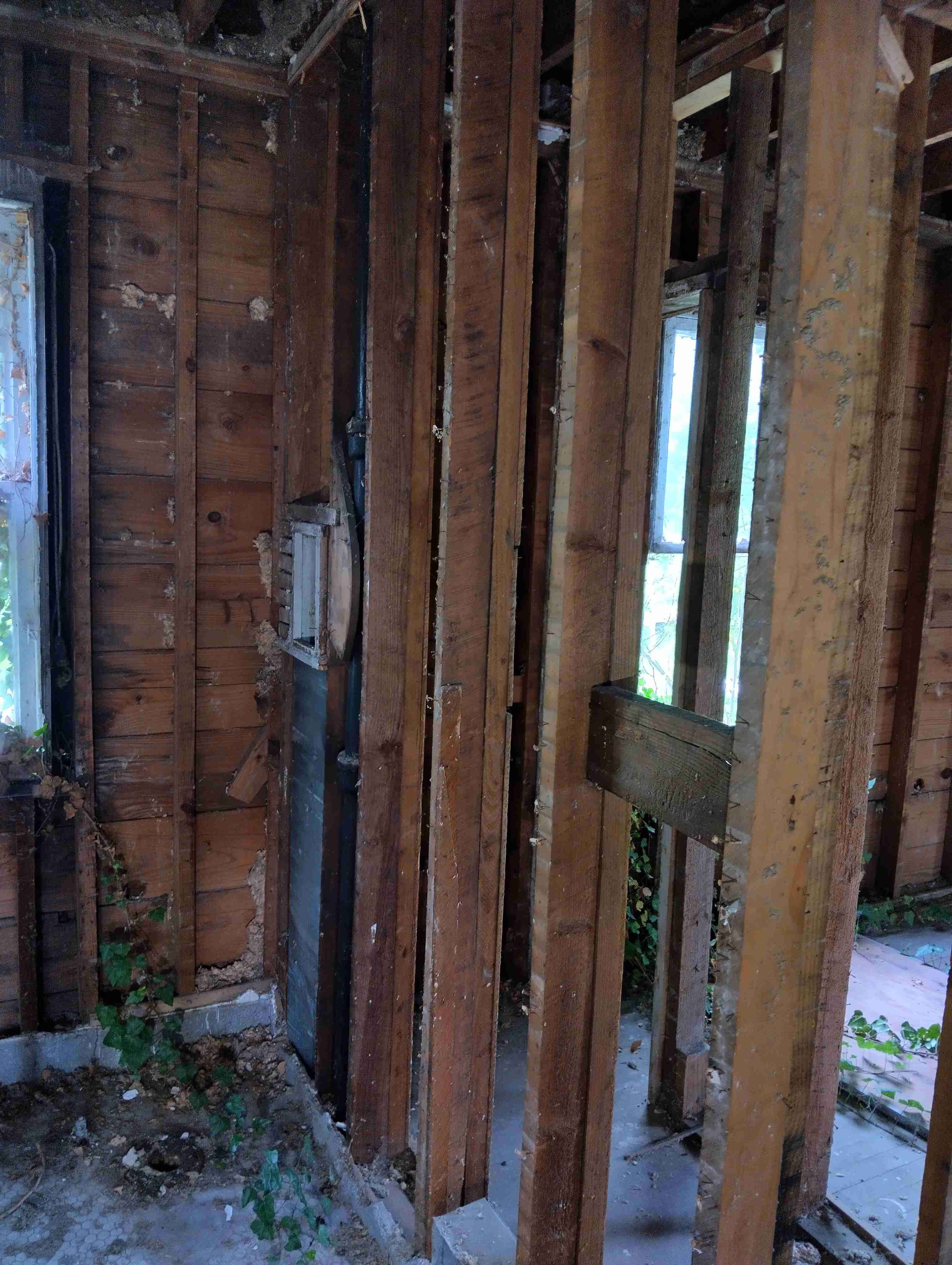 IMG_20260515_122609_HDR.jpg