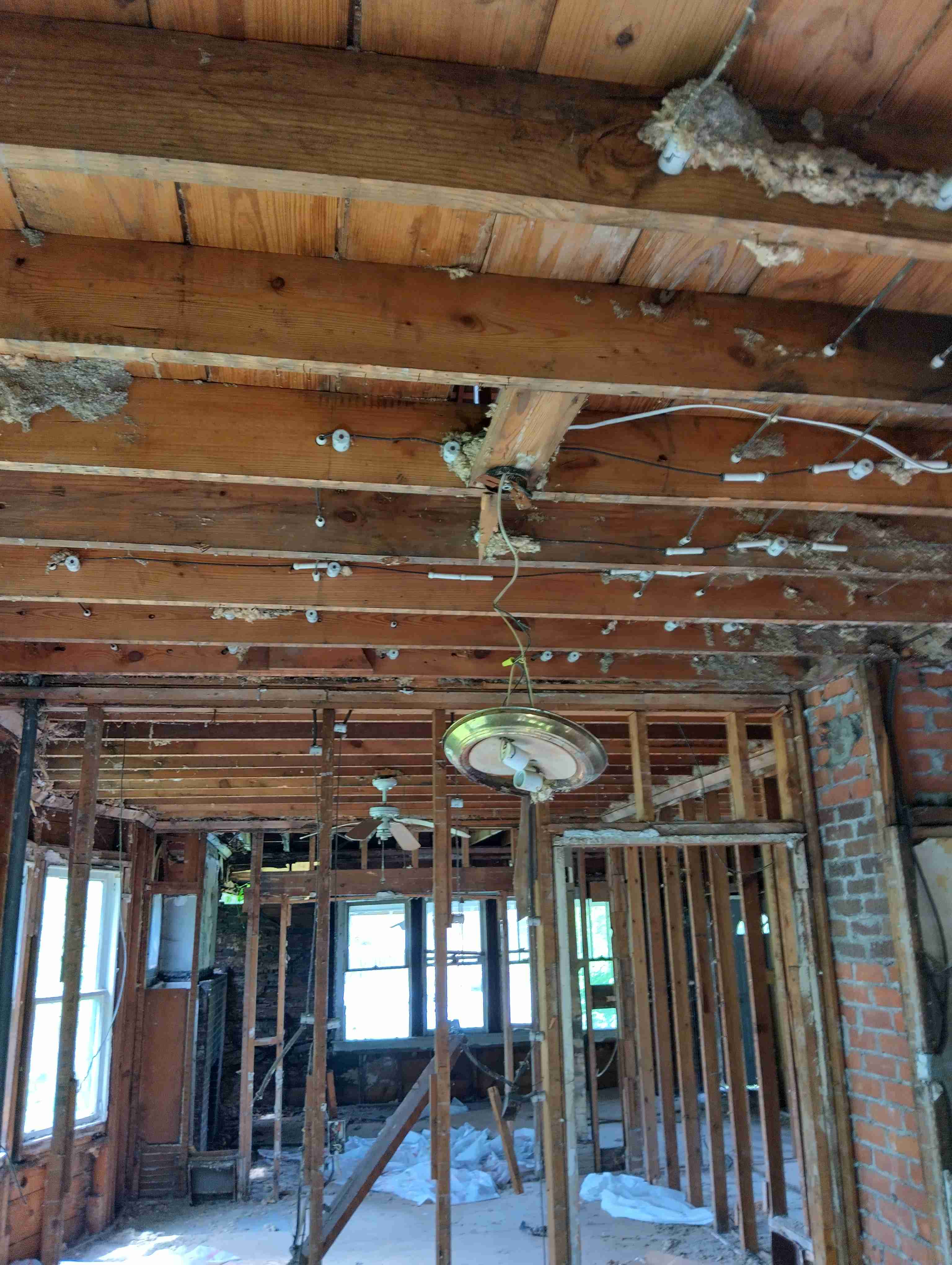 IMG_20260515_122721_HDR.jpg