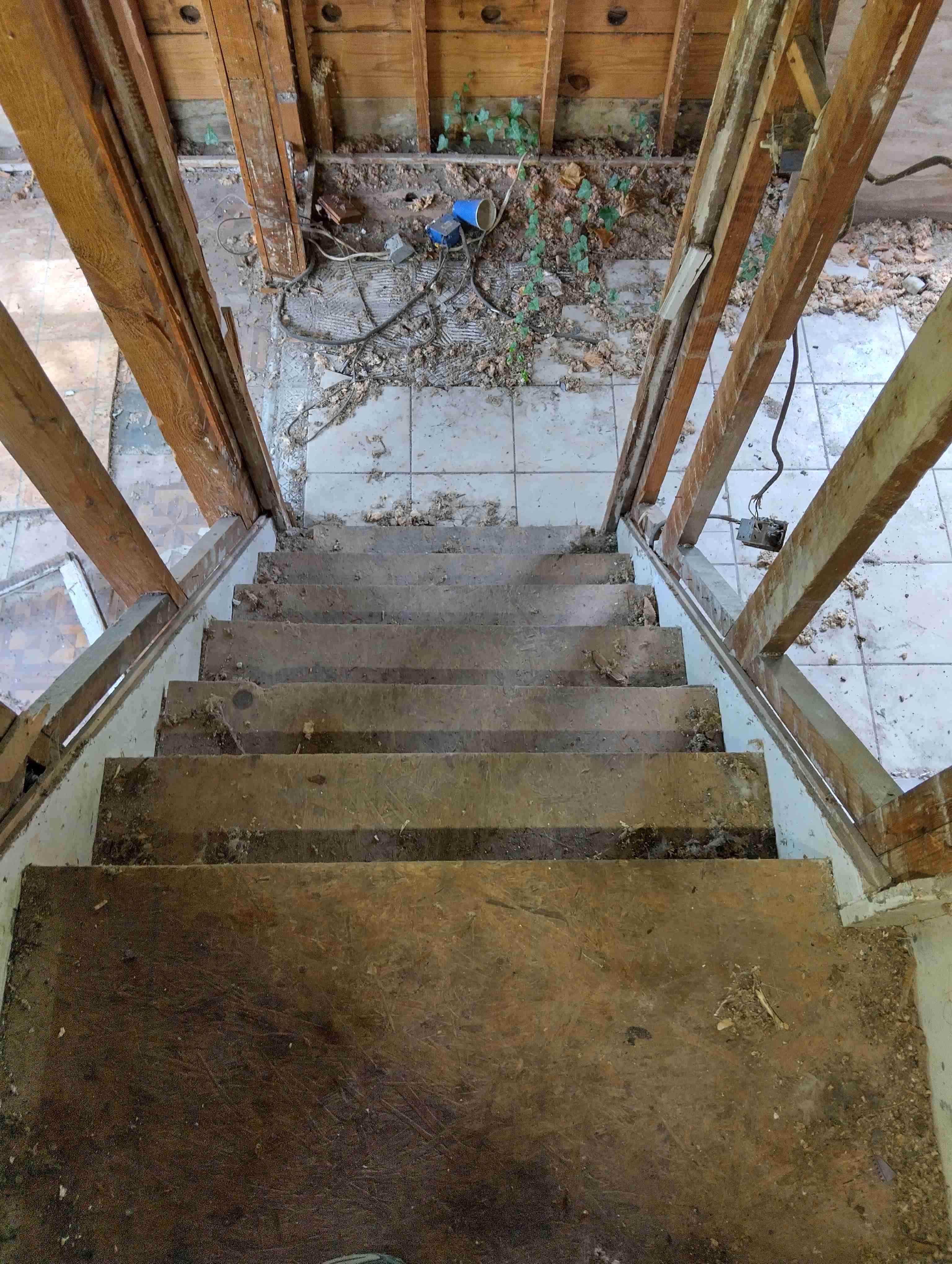 IMG_20260515_122749_HDR.jpg