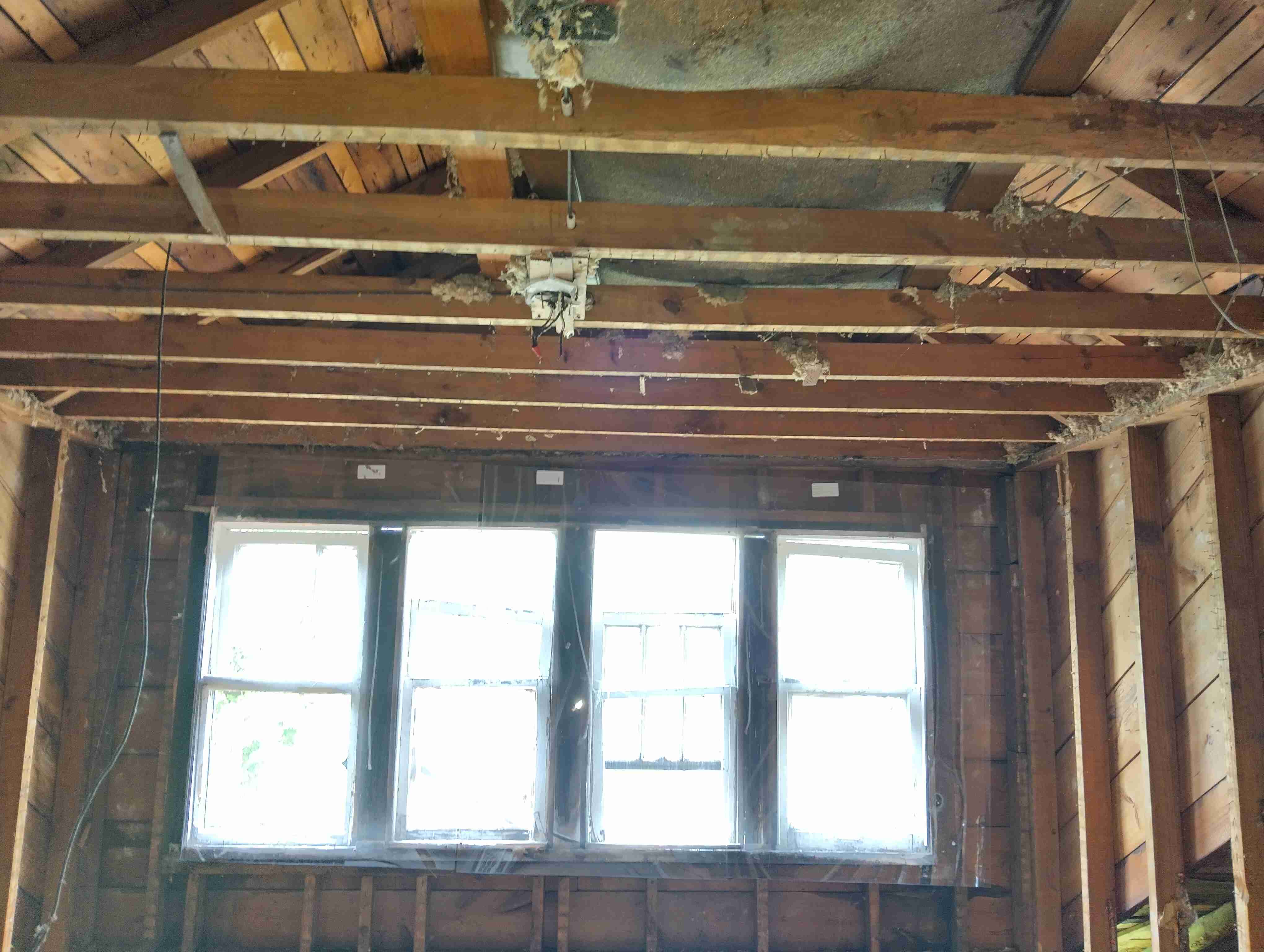 IMG_20260515_122851_HDR.jpg