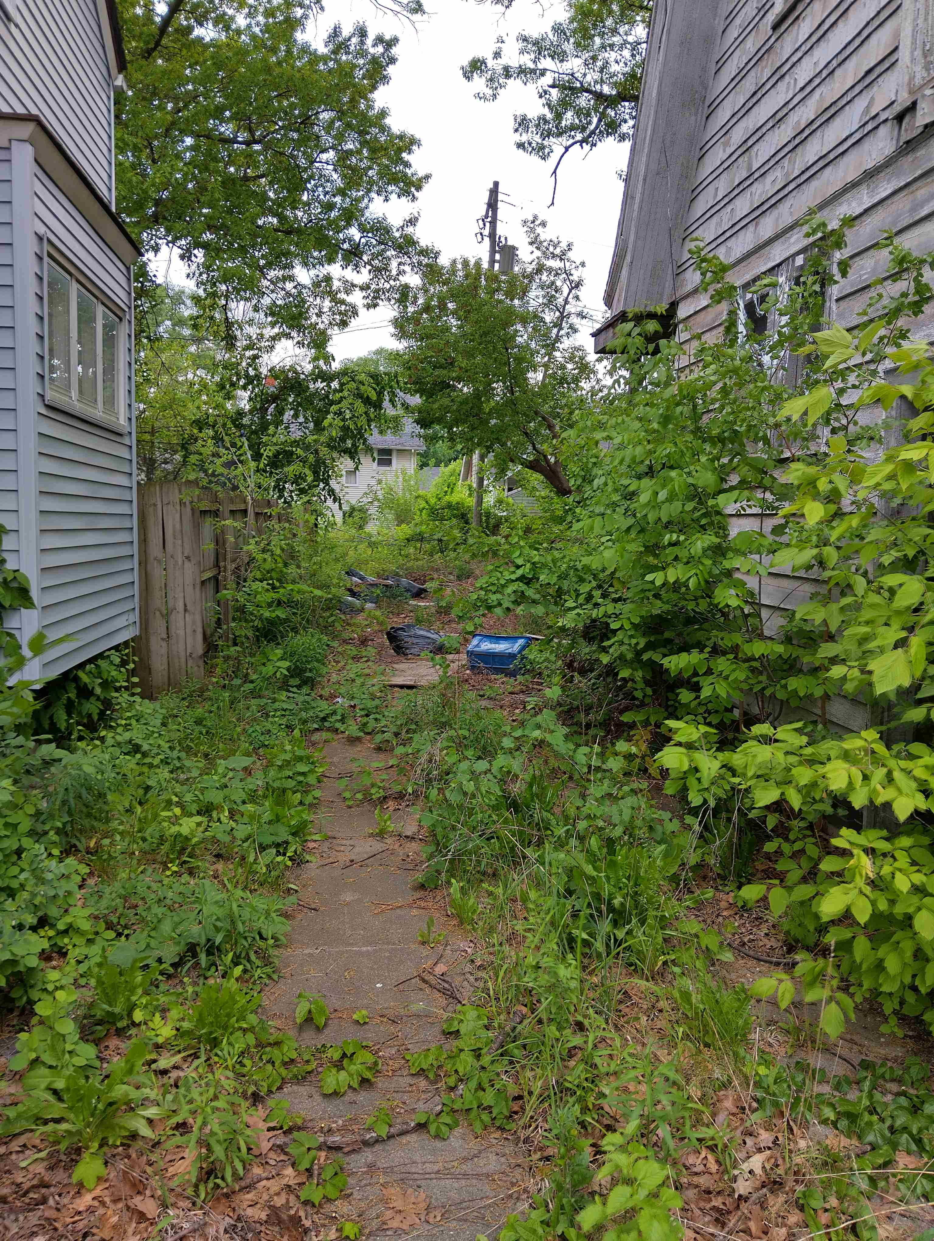 IMG_20260518_134228_HDR.jpg