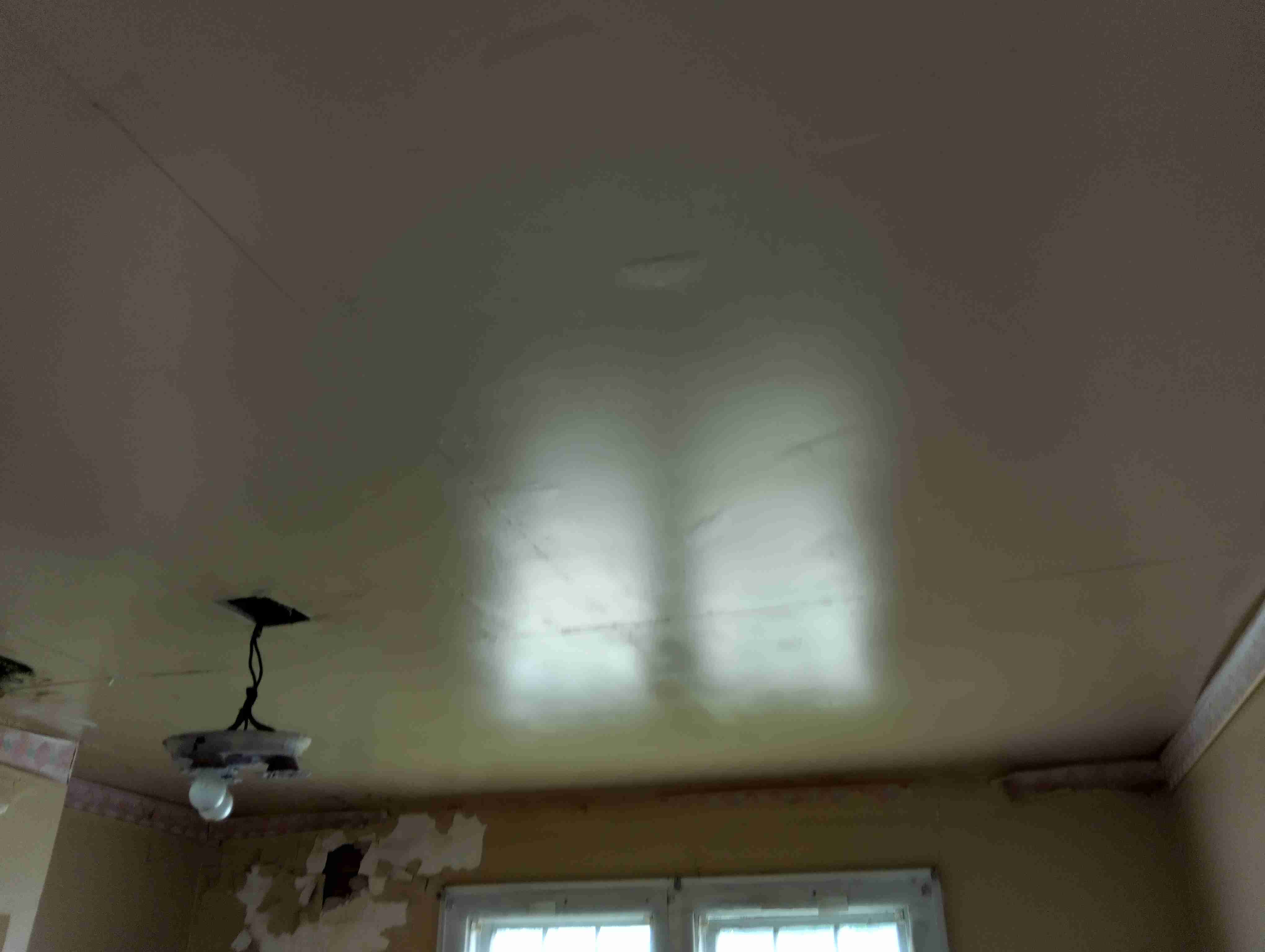 IMG_20260518_135038_HDR.jpg