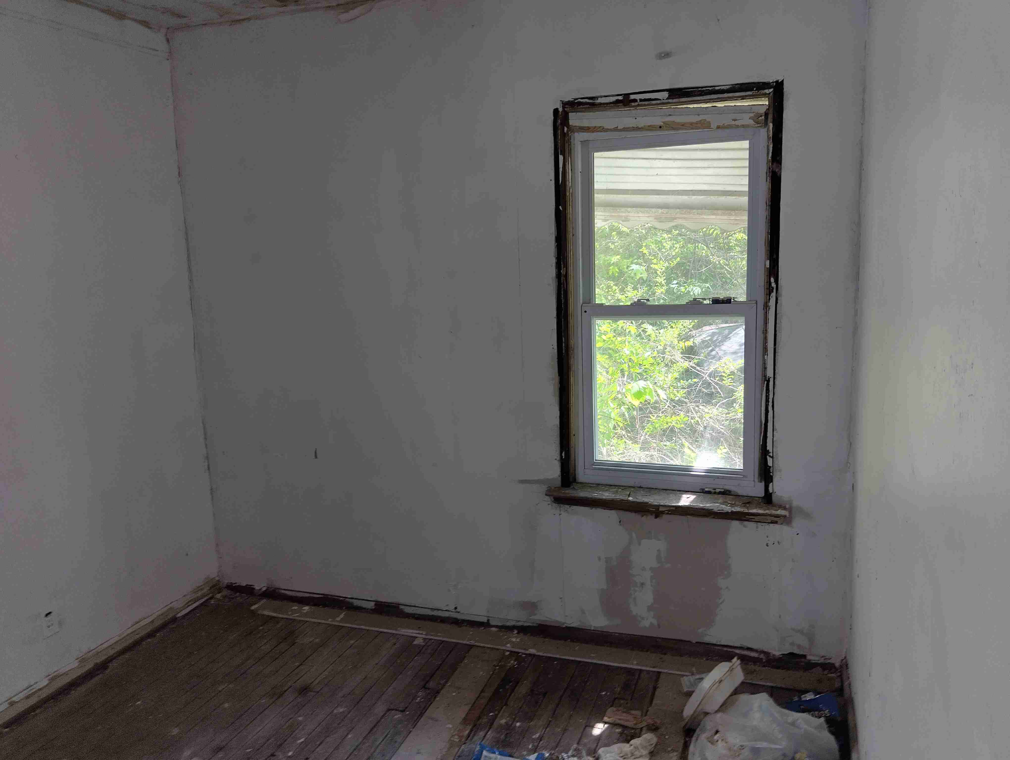 IMG_20260519_110401_HDR.jpg