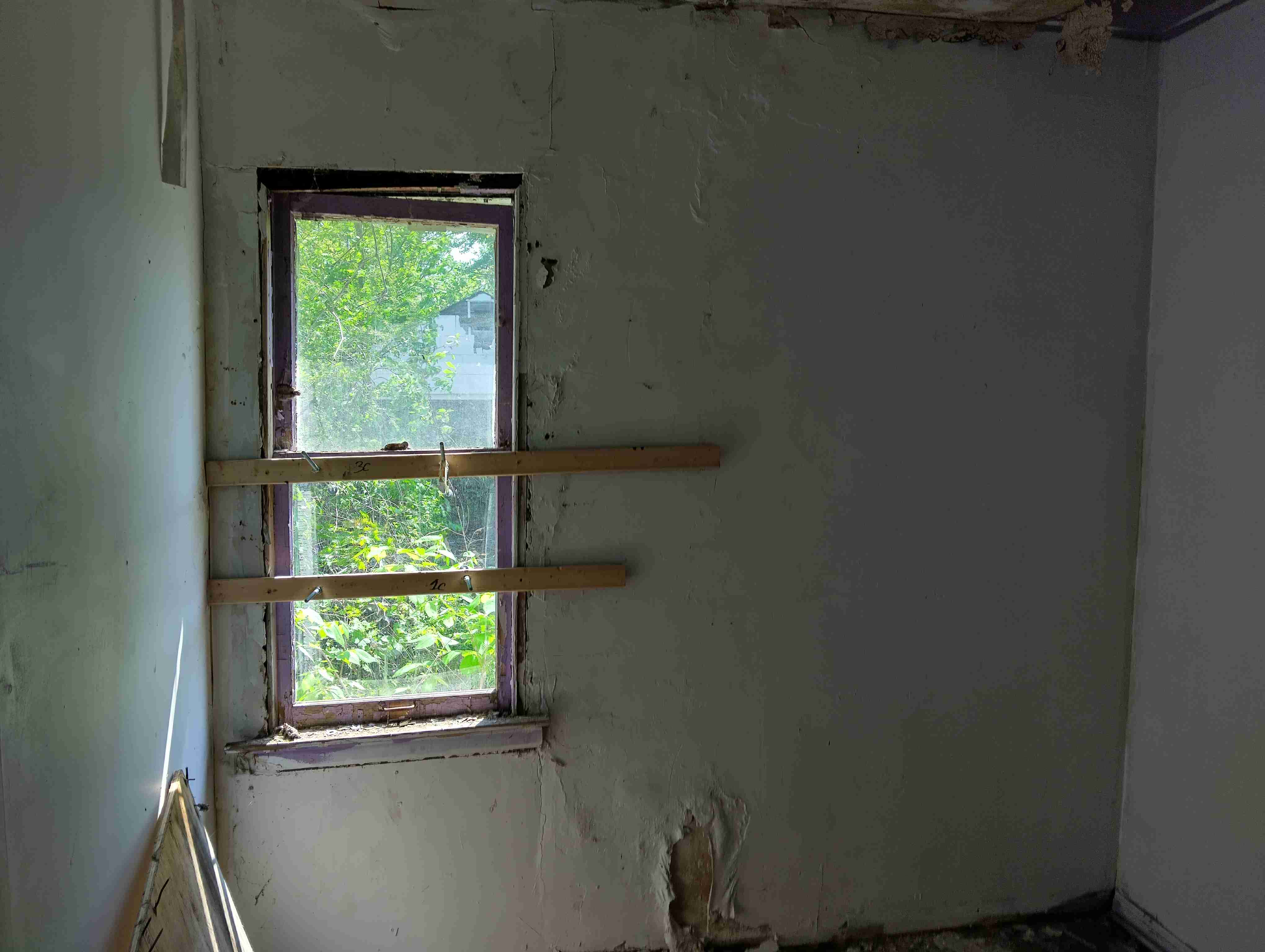 IMG_20260519_110537_HDR.jpg