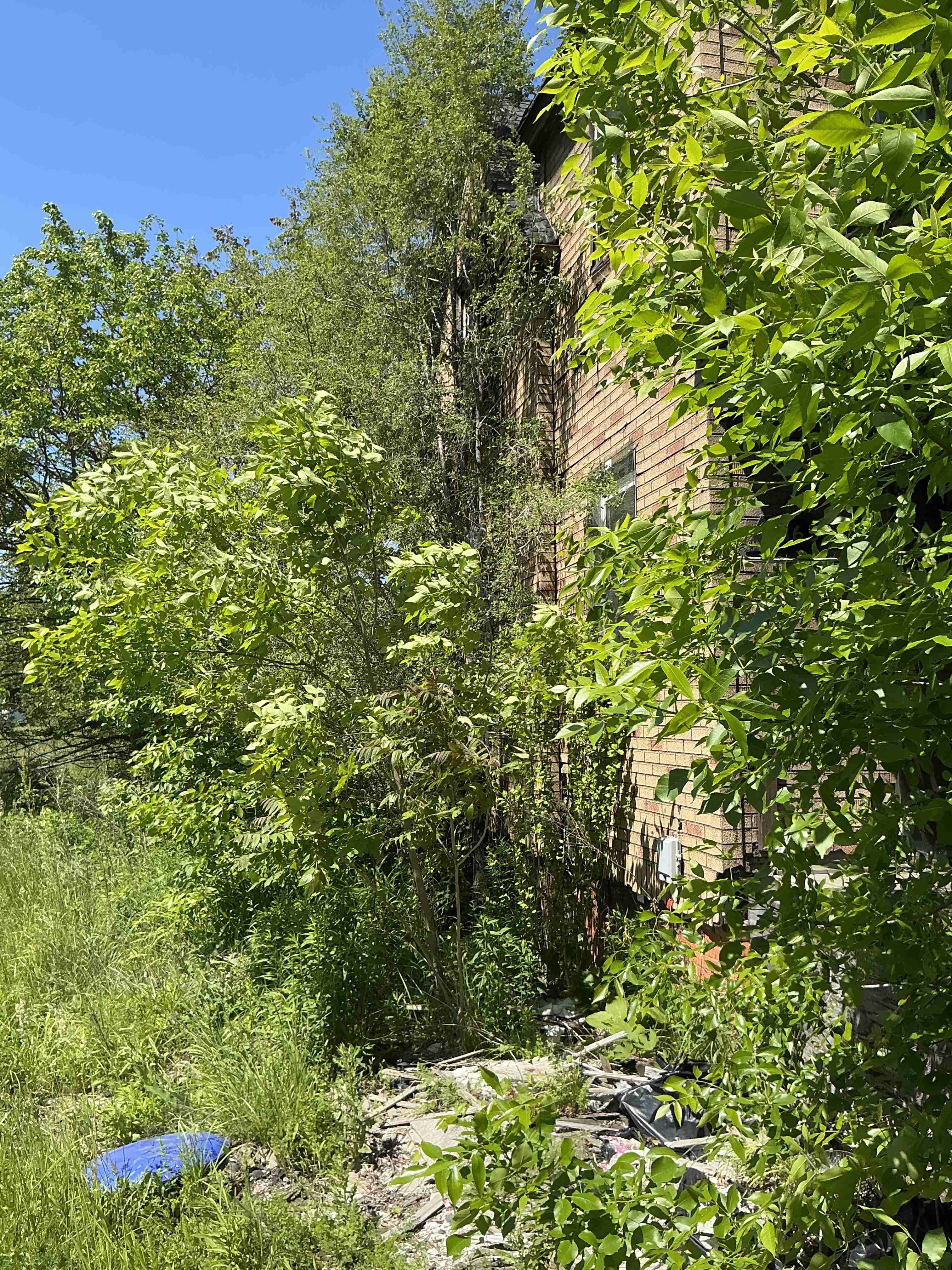 IMG_8725.jpeg