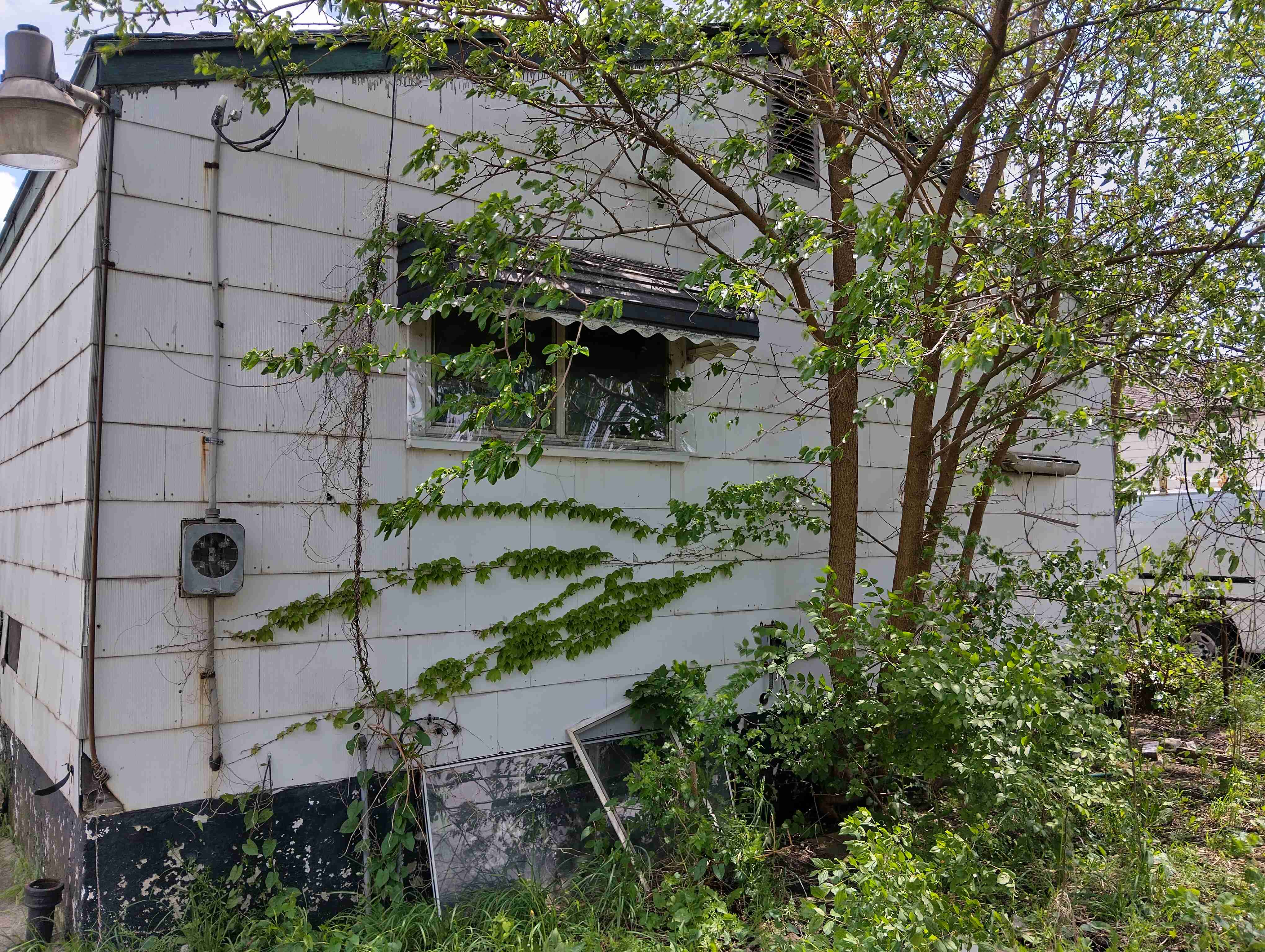 IMG_20260519_141934_HDR.jpg