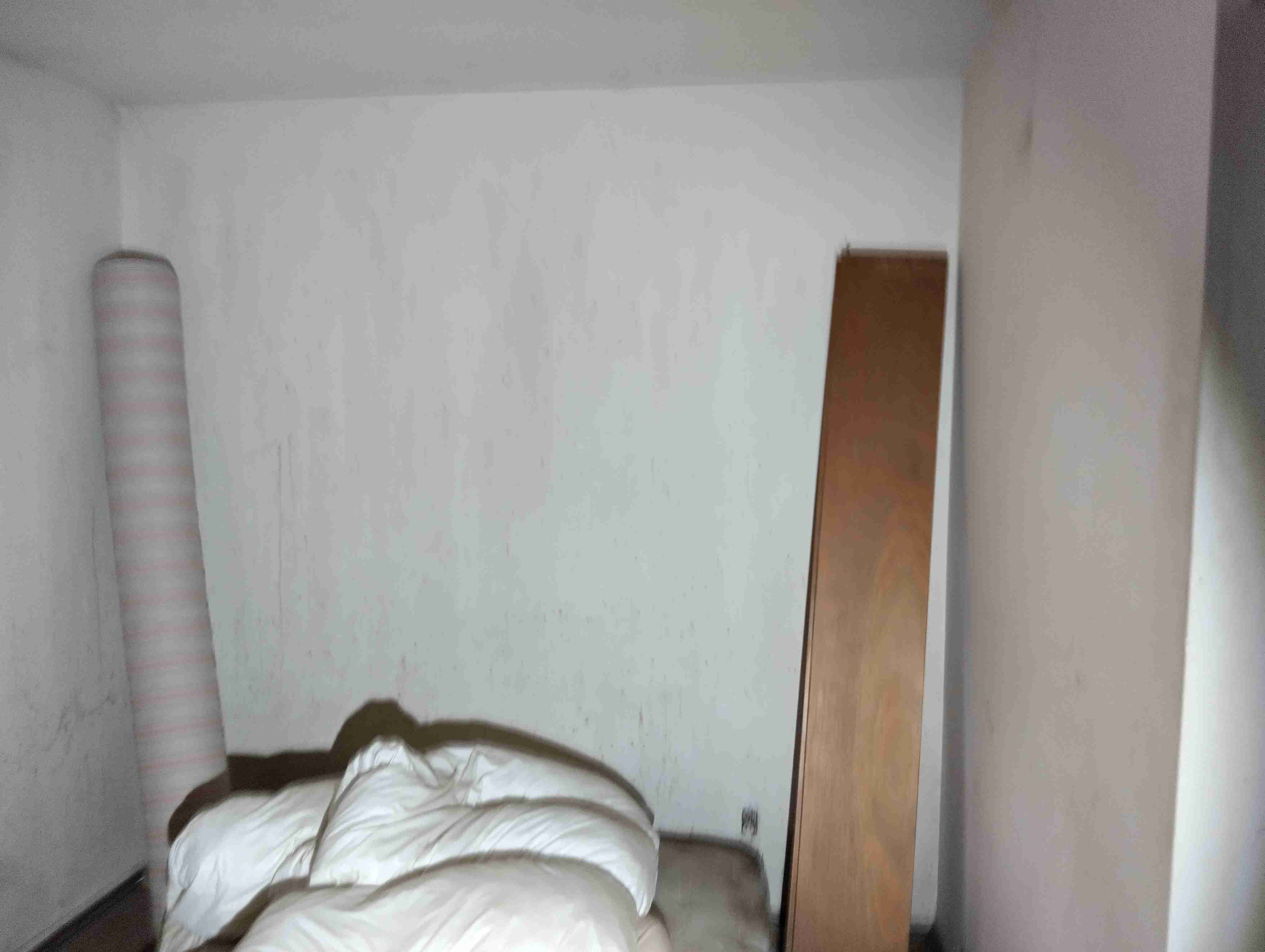 IMG_20260519_142742_HDR.jpg