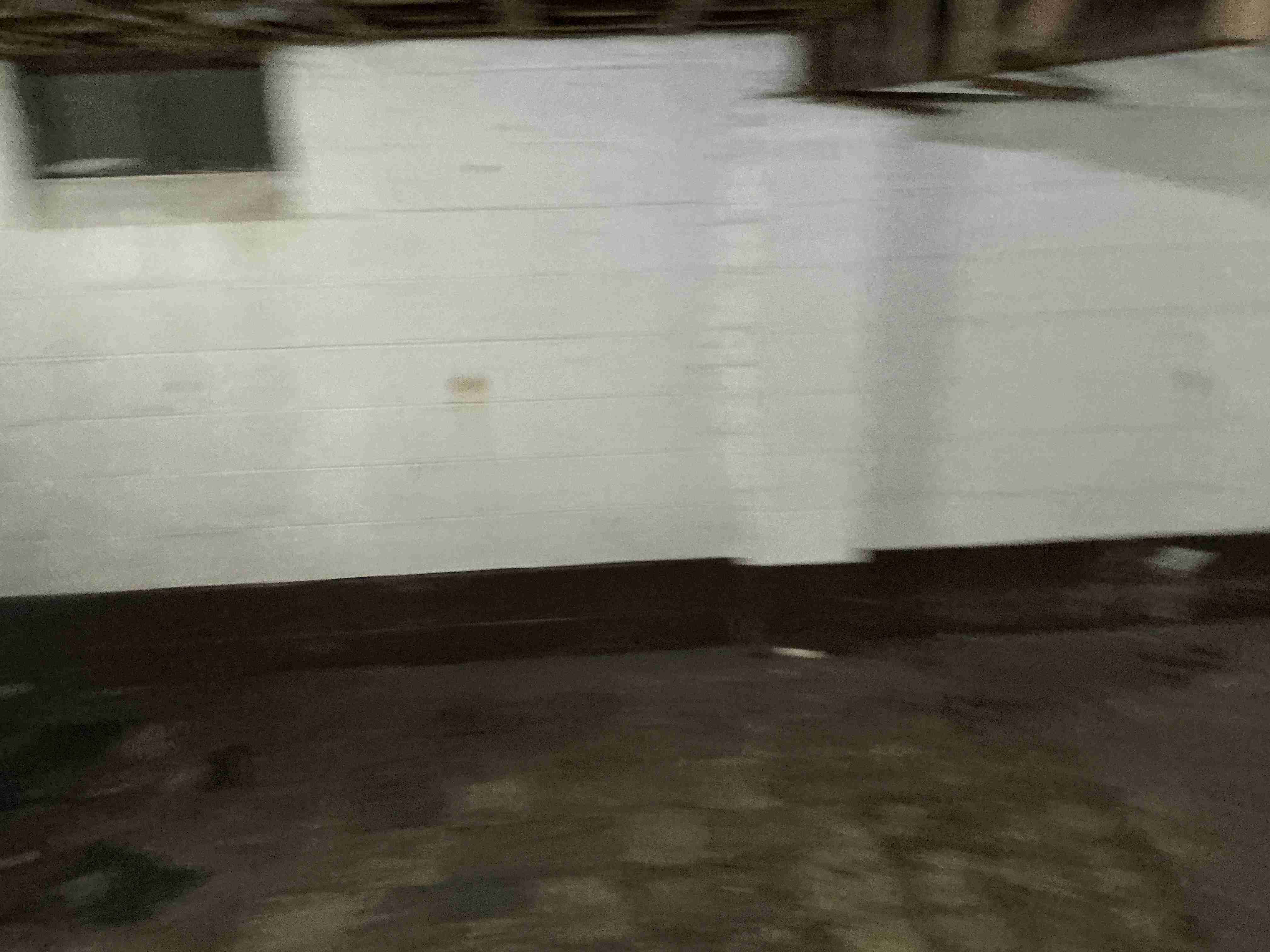 IMG_3866.jpeg